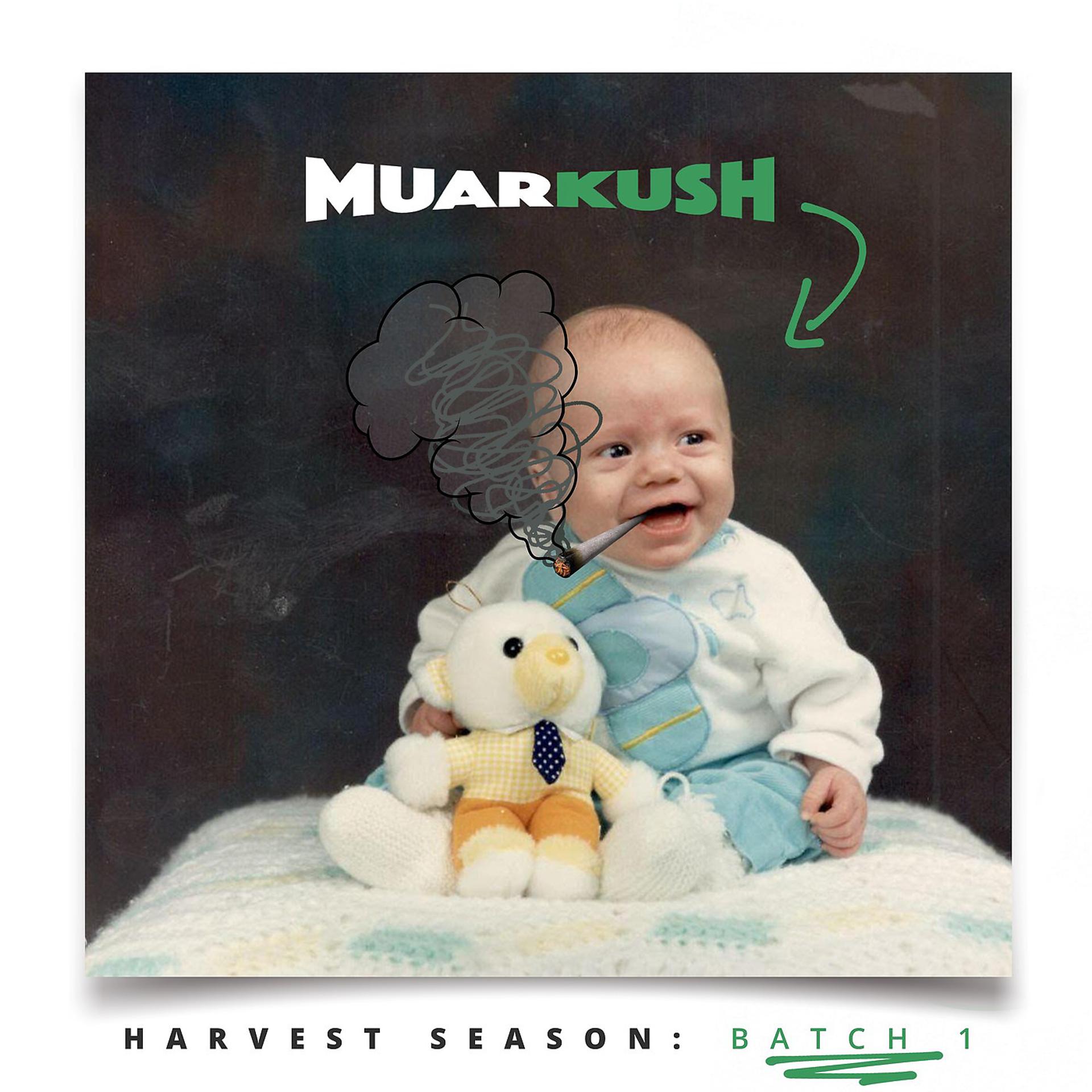 Постер альбома Harvest Season: Batch #1