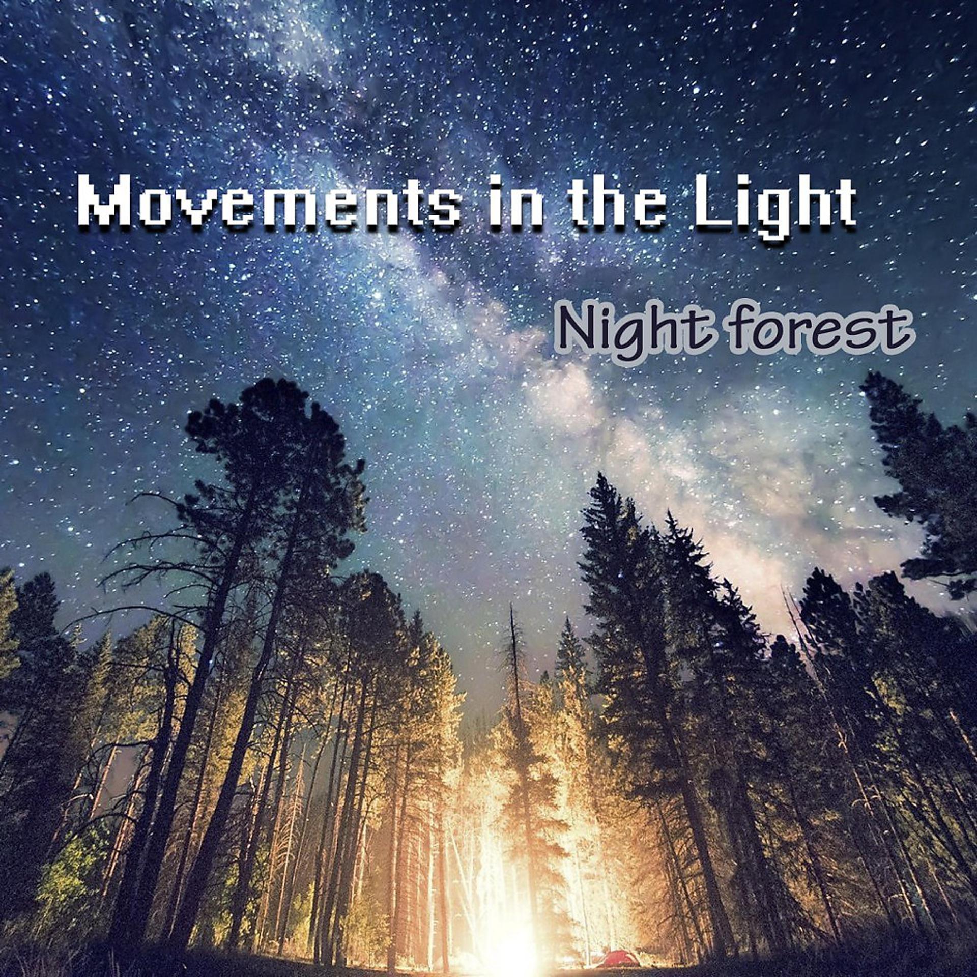 Постер альбома Night Forest