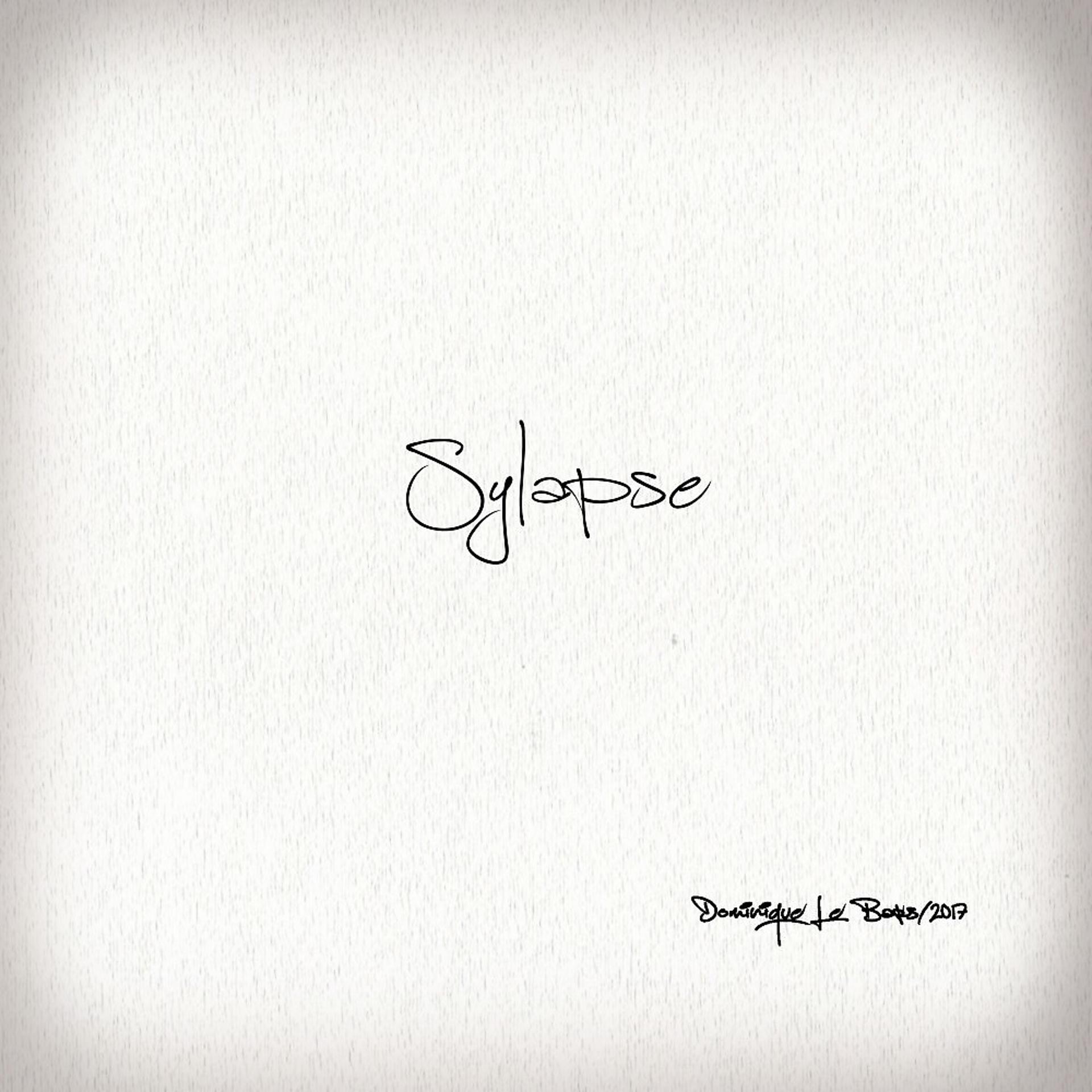 Постер альбома Sylapse