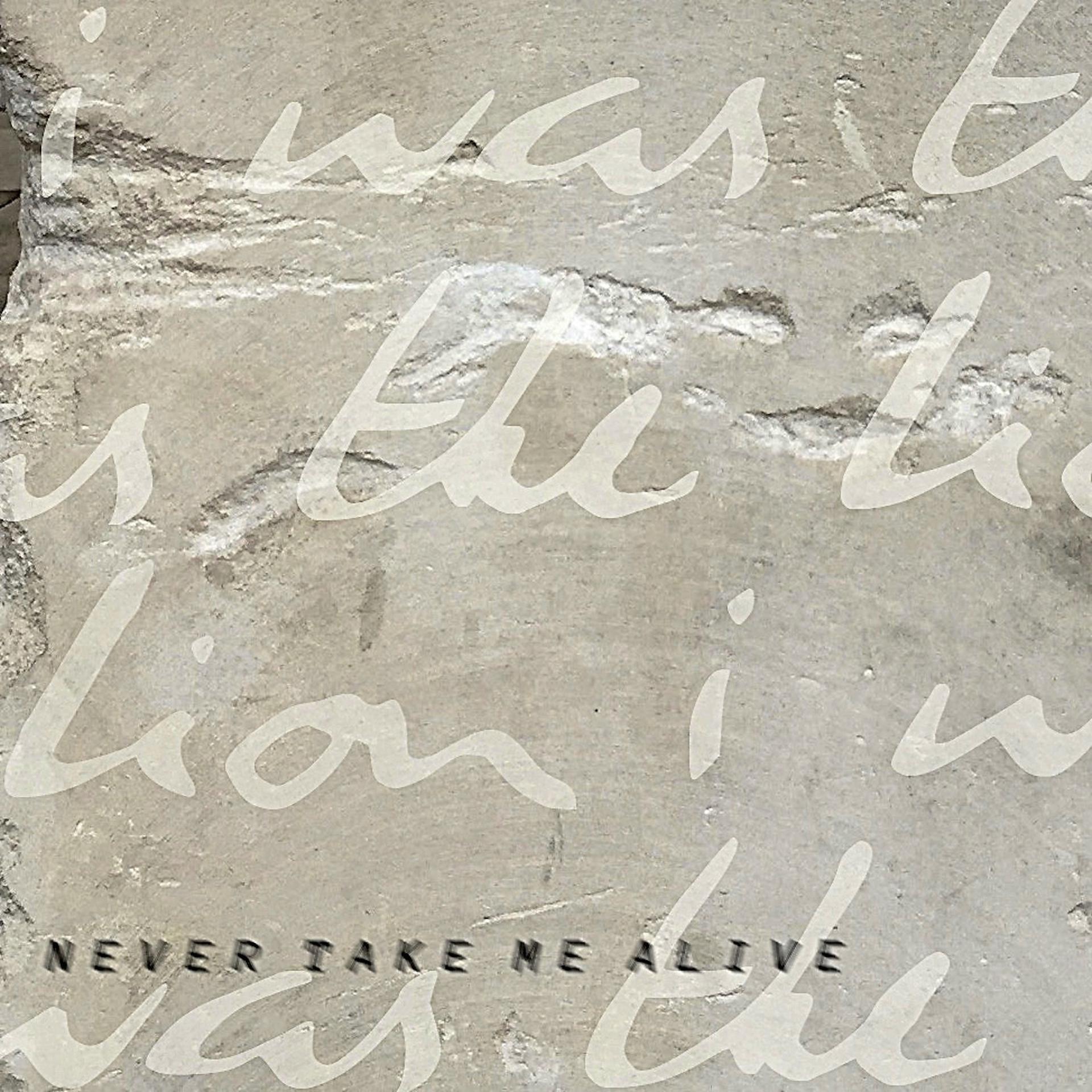 Постер альбома Never Take Me Alive