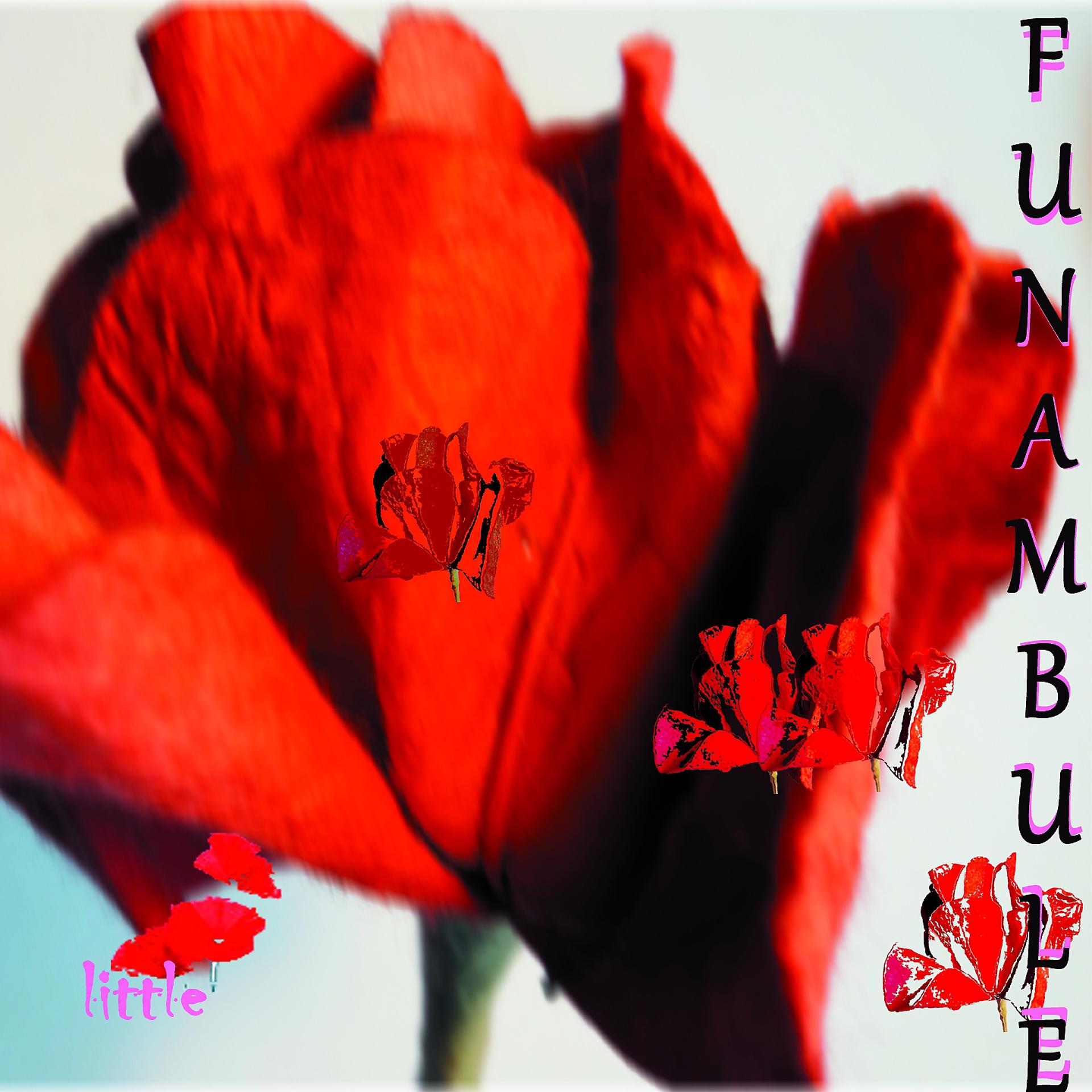 Постер альбома Funambule