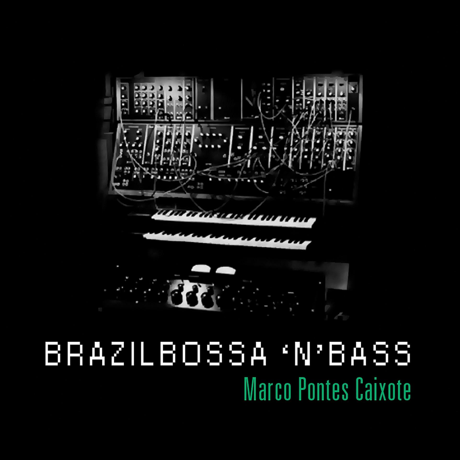 Постер альбома Brazilbossa 'N Bass