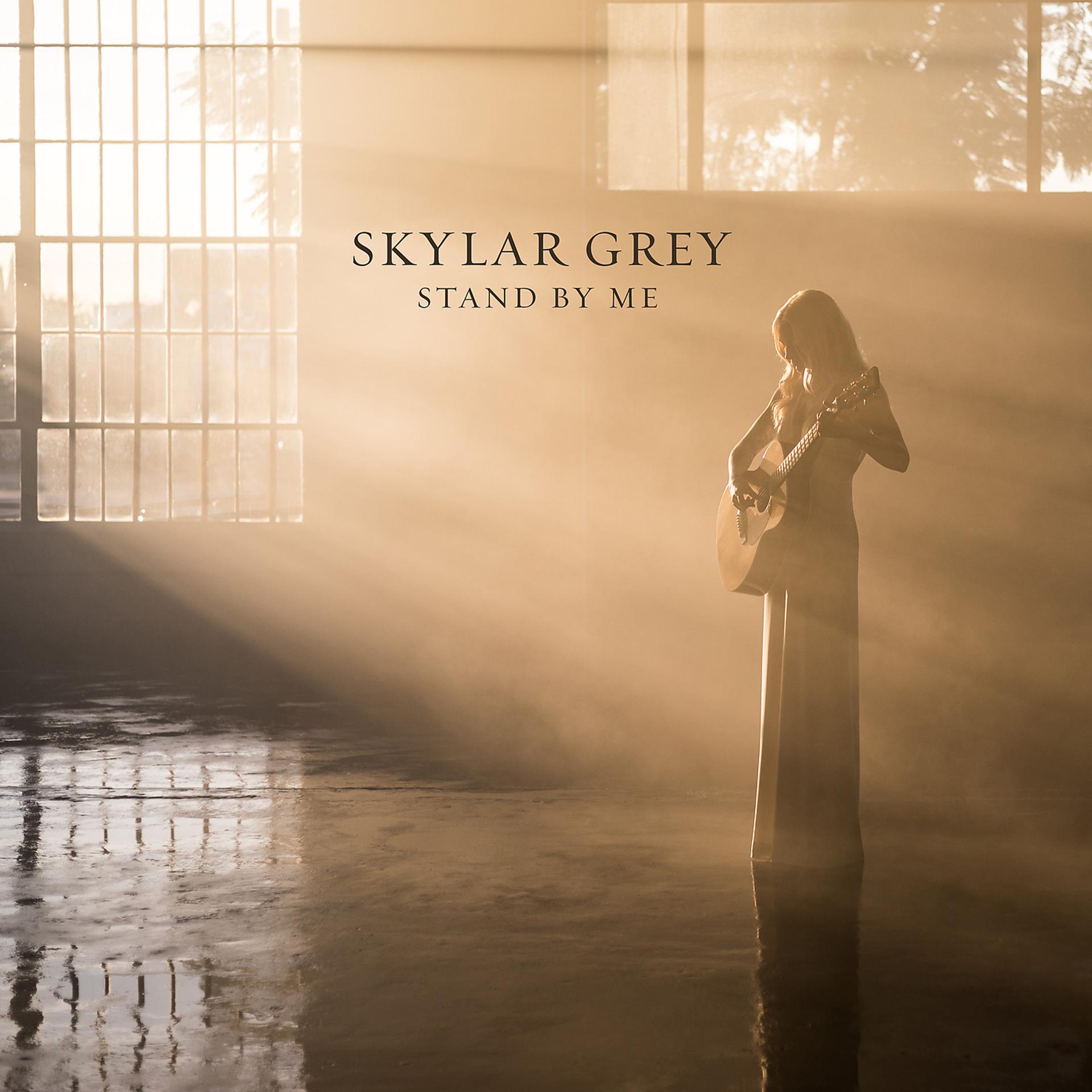 Last ones standing. Skylar Grey. Скайлар грей last one standing. Skylar Grey albums. Skylar Grey обложка.
