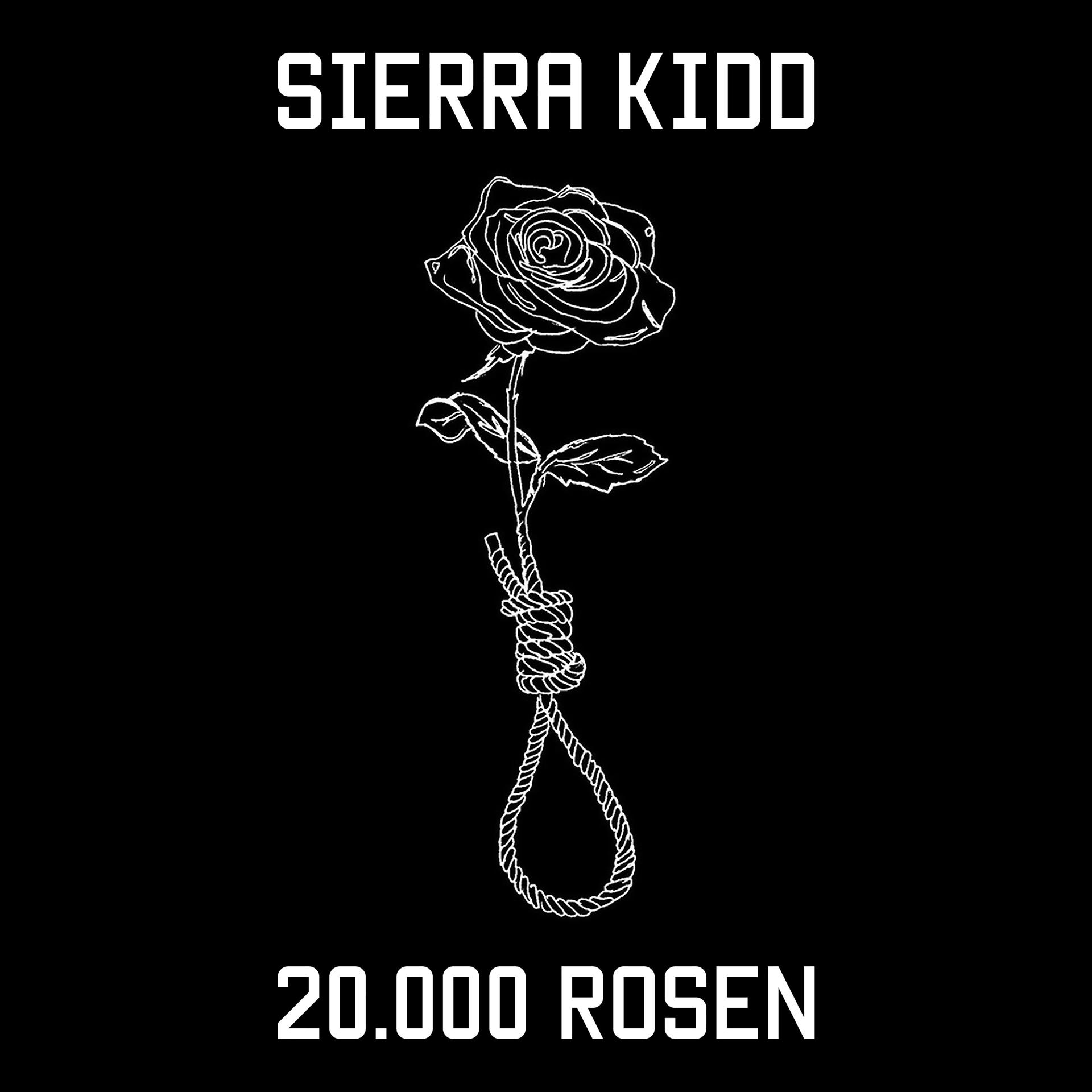 Постер альбома 20.000 Rosen