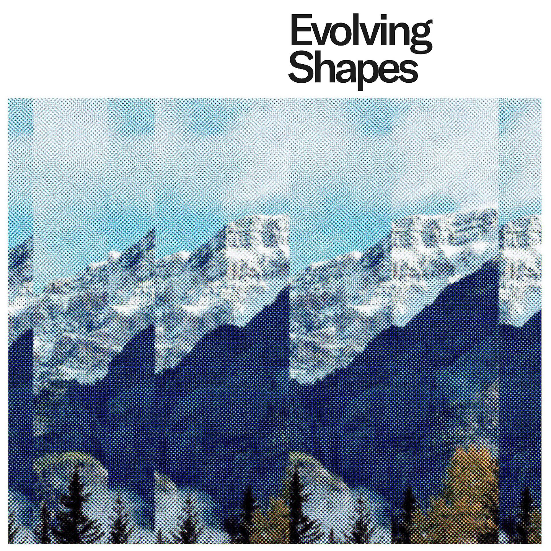 Постер альбома Evolving Shapes