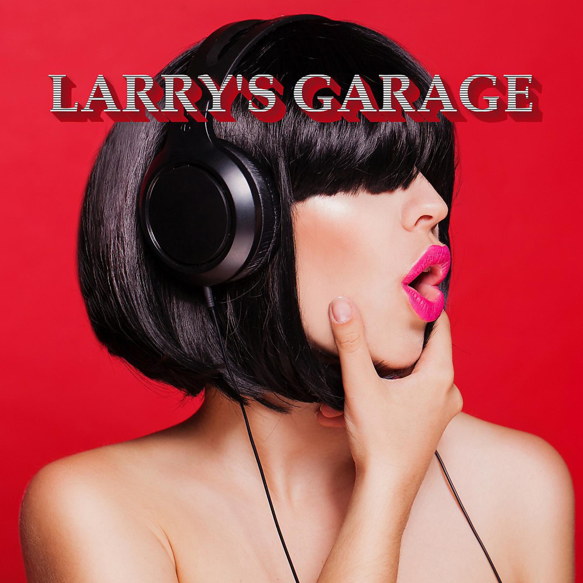 Постер альбома Larry's Garage