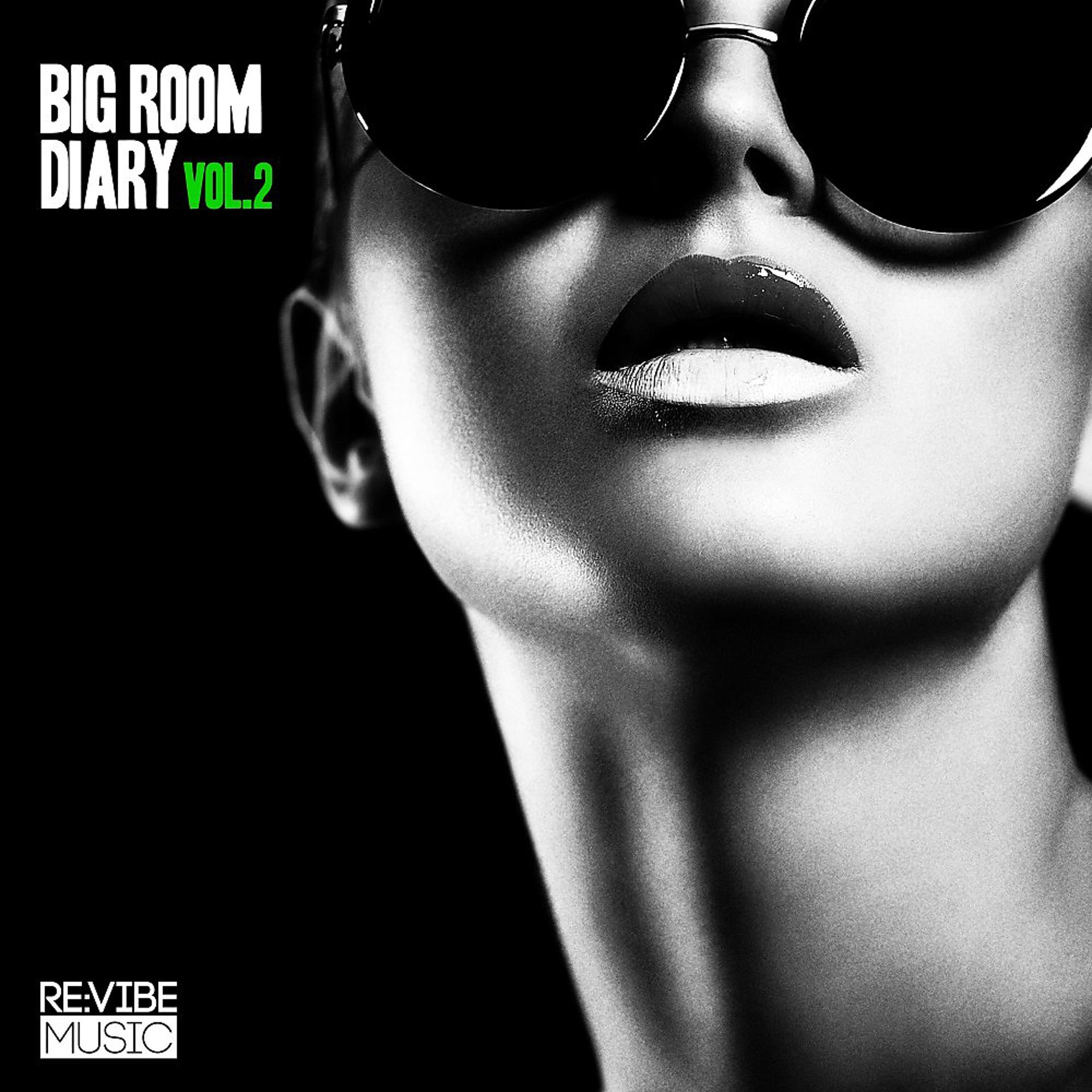 Постер альбома Big Room Diary, Vol. 2