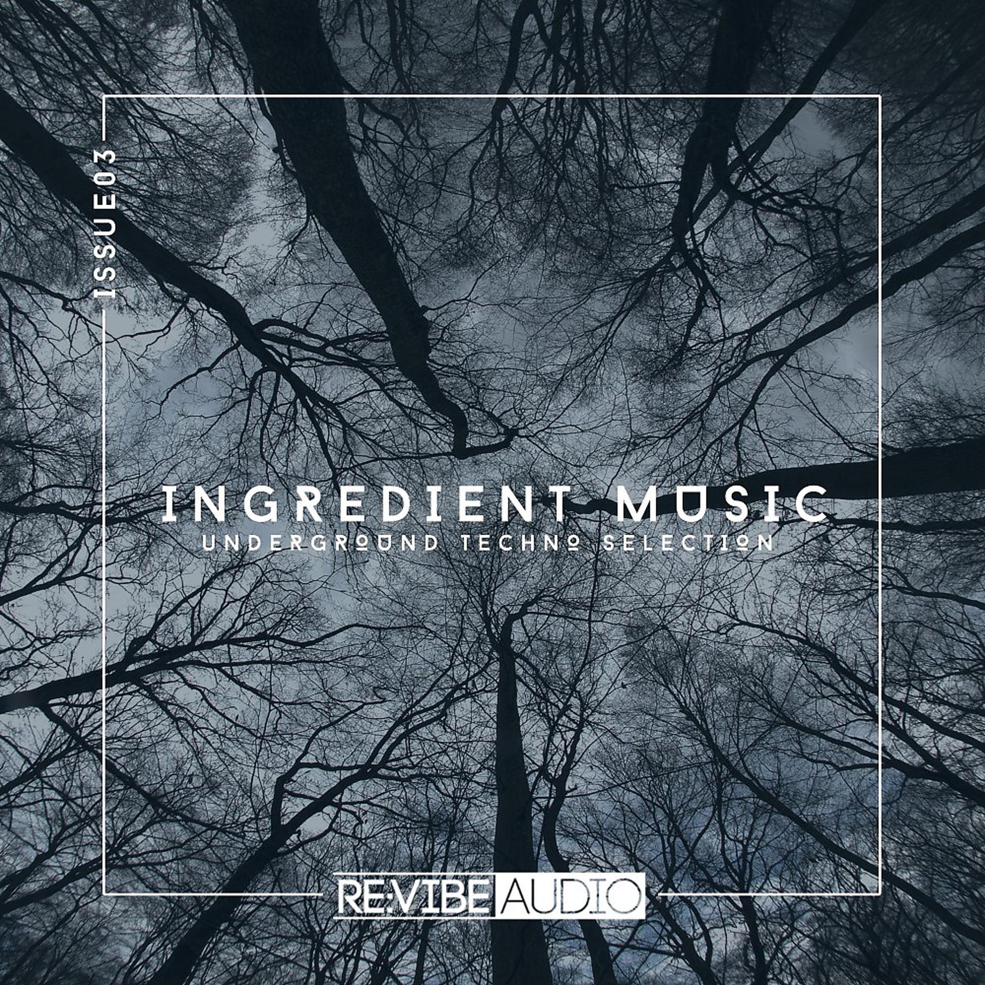 Постер альбома Ingredient Music, Vol. 3