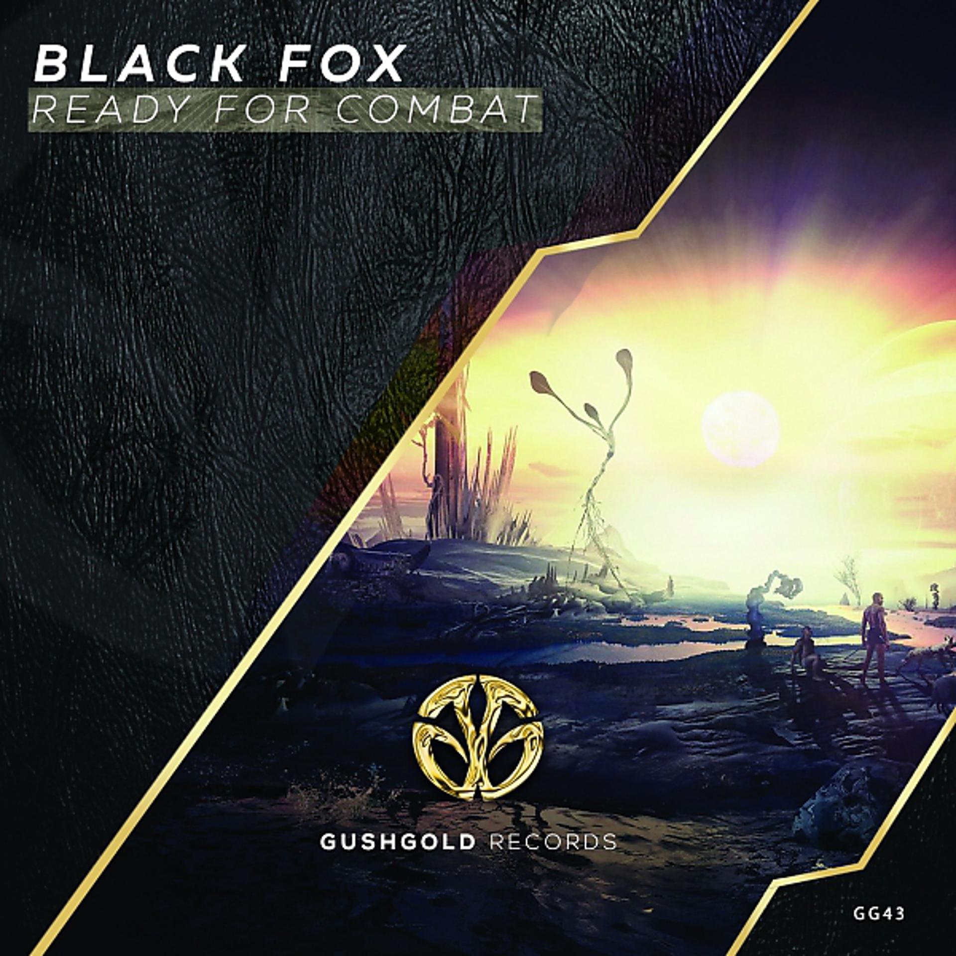 Постер альбома Black Fox - Ready For Combat (Original Mix)
