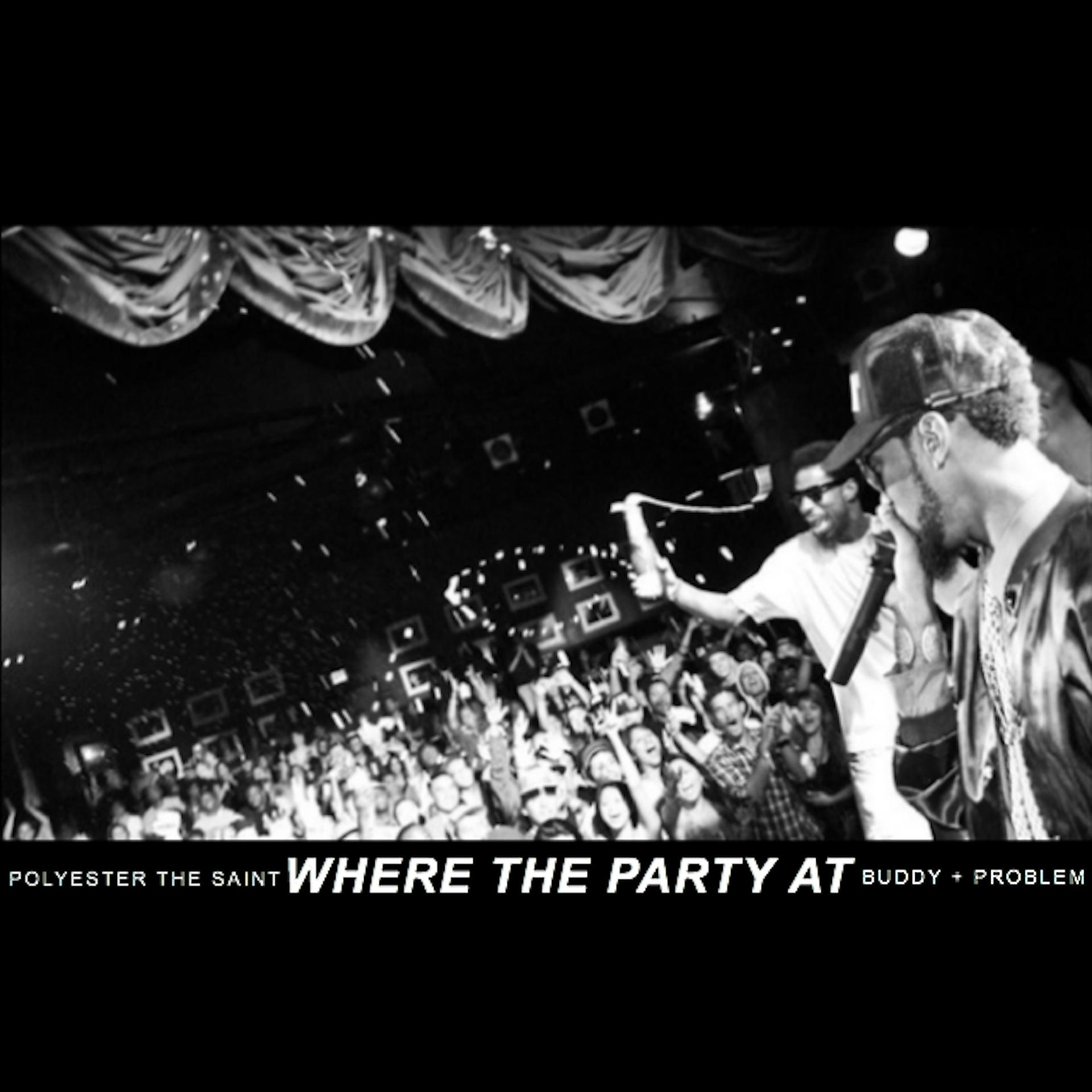 Постер альбома Where the Party At (feat. Buddy & Problem)
