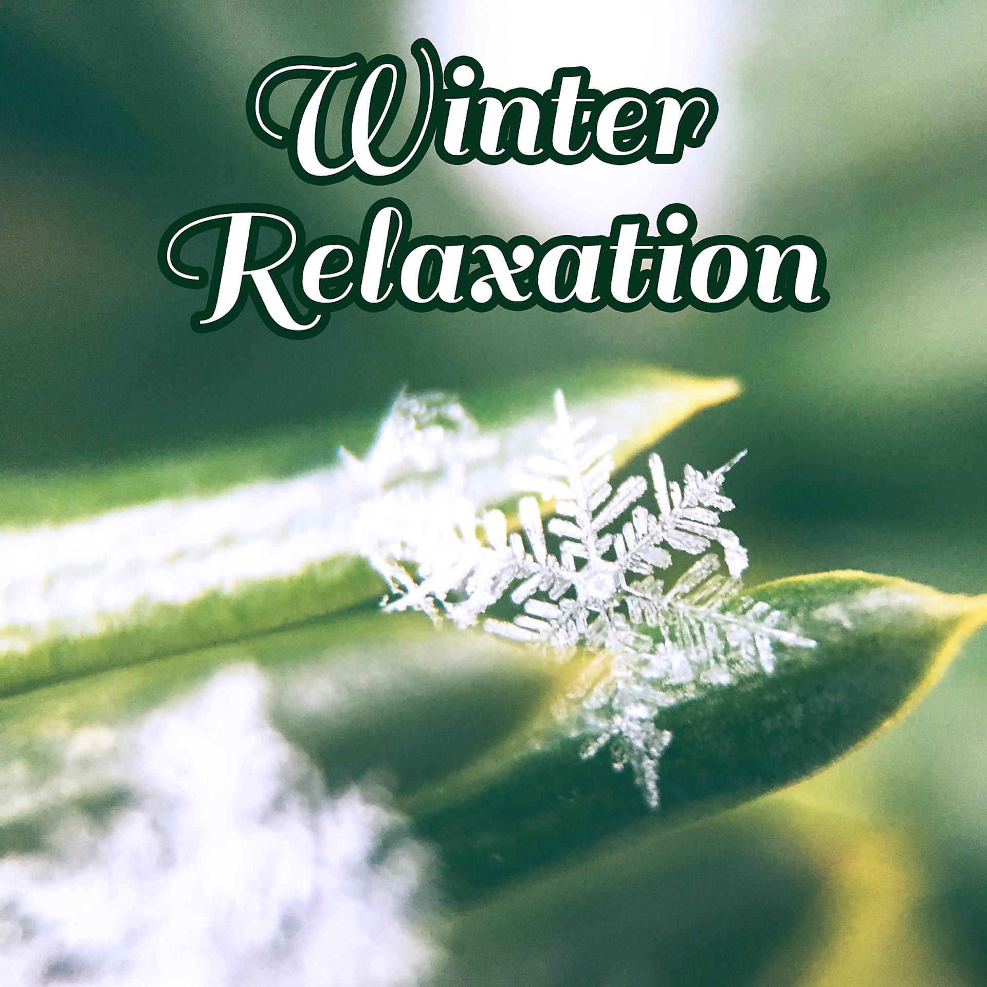 Постер альбома Winter Relaxation: Top Music Ambient, Spa, Stress Reduction, Depression Relief, Meditation, Serenity Atmosphere