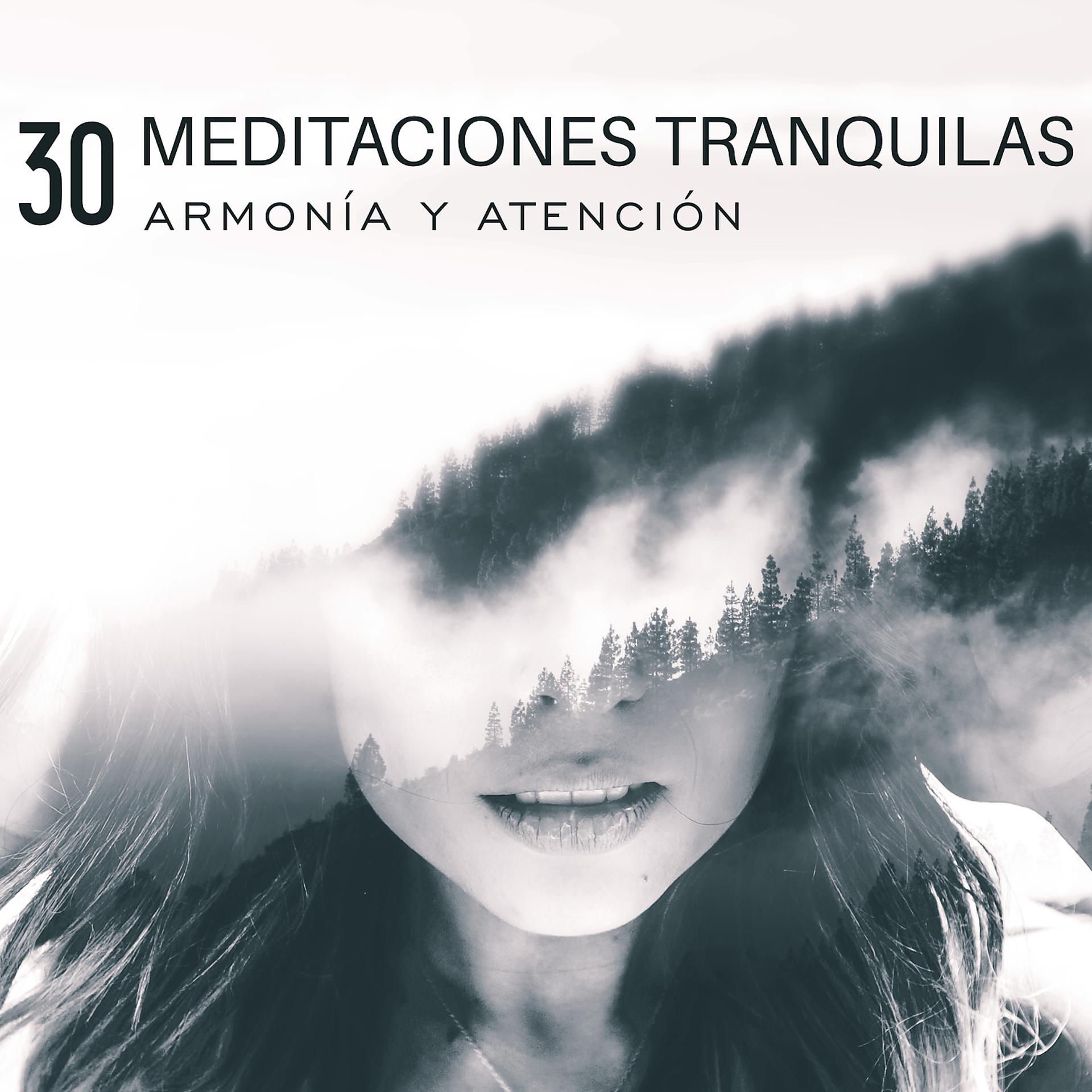 Постер альбома 30 Meditaciones Tranquilas: Armonía y Atención - Ambiente Relajante de Música, Energía Chakra, Música de Yoga