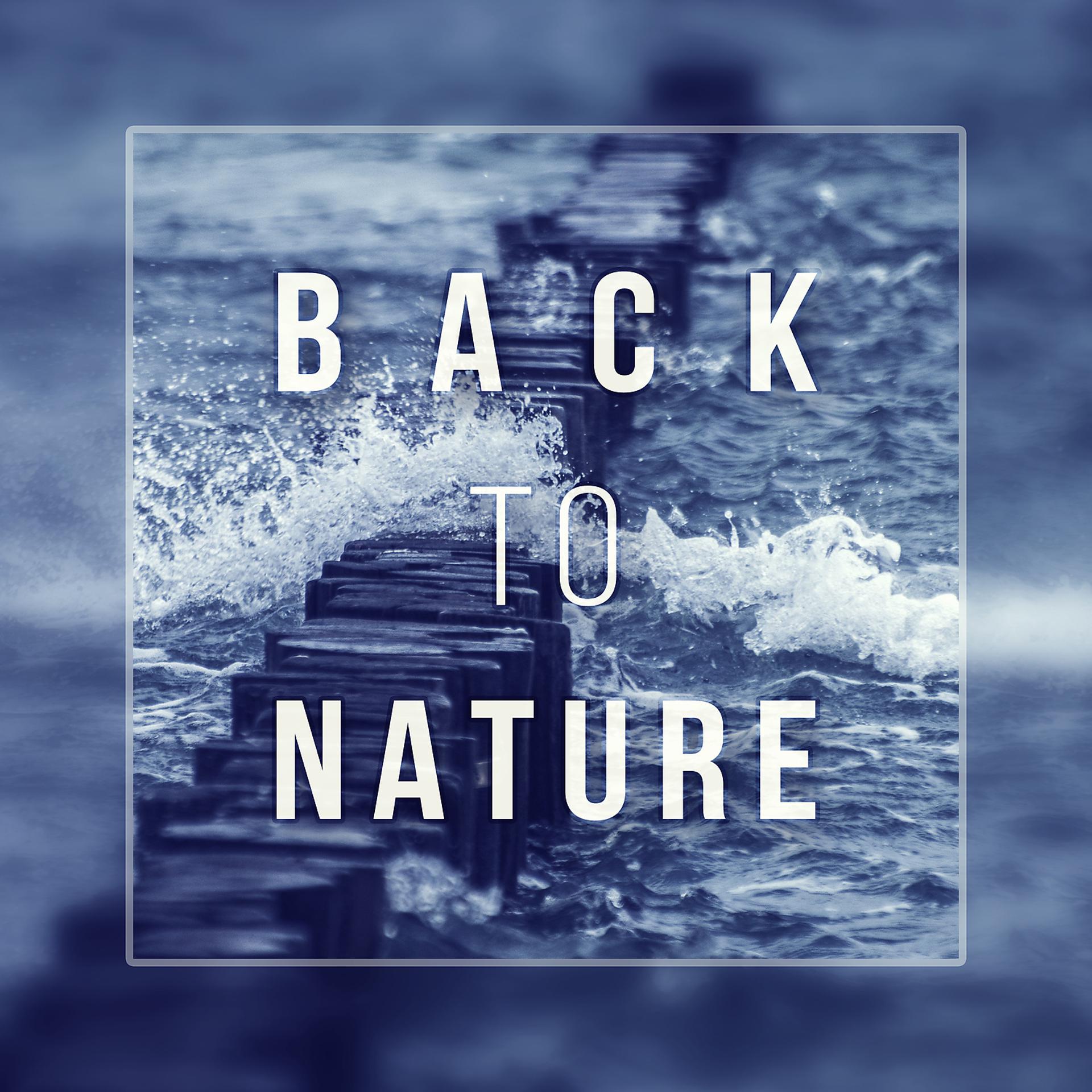 Постер альбома Back to Nature - Endless Ocean, Spirit of Rain, Crystal Water, Wilderness Tranquility