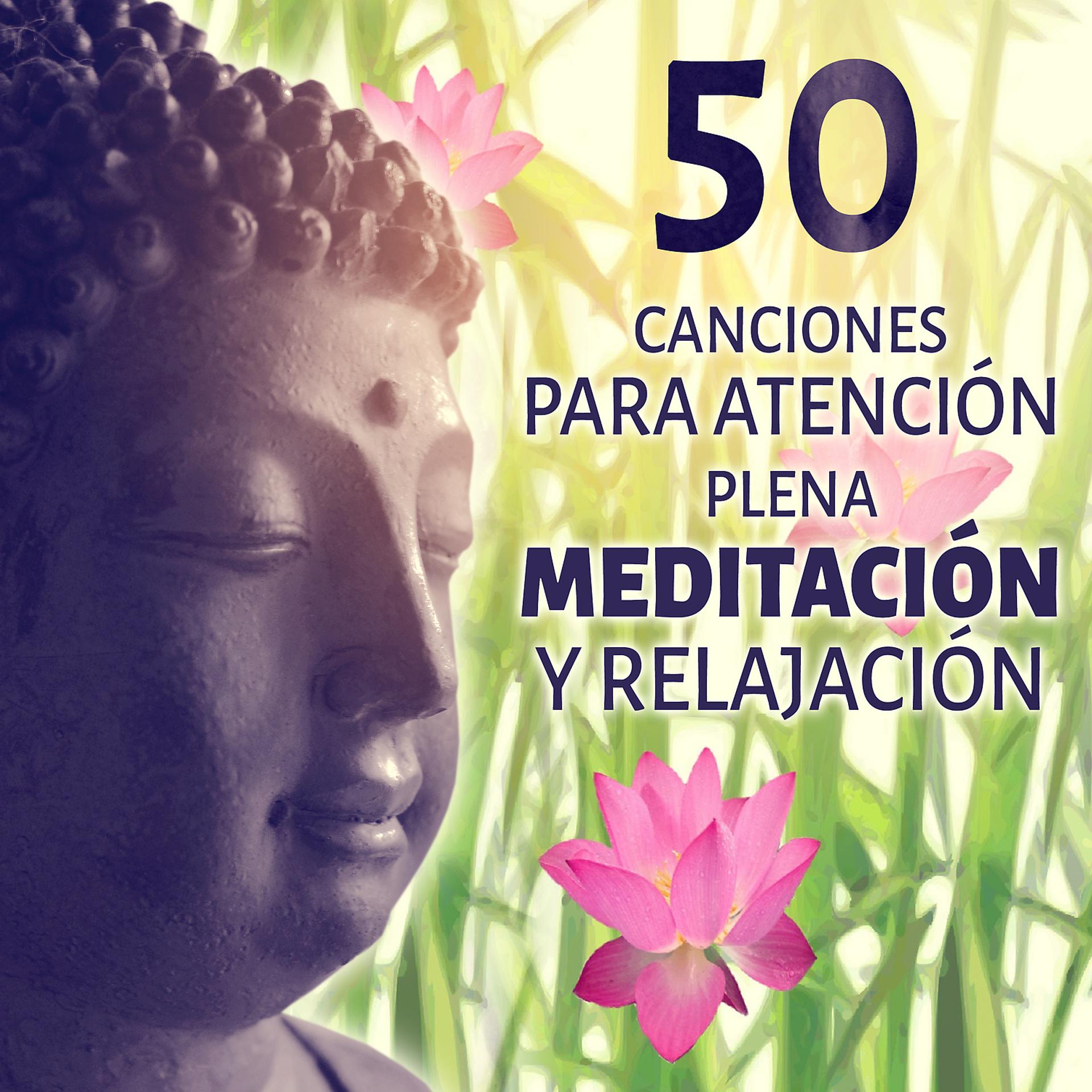 Постер альбома 50 Canciones para Atención Plena Meditación y Relajación: Música Serenidad para el Meditación, Yoga, Spa y Masajes, Sonidos Zen Relajante, Pensamiento Positivo & Dulces Sueños