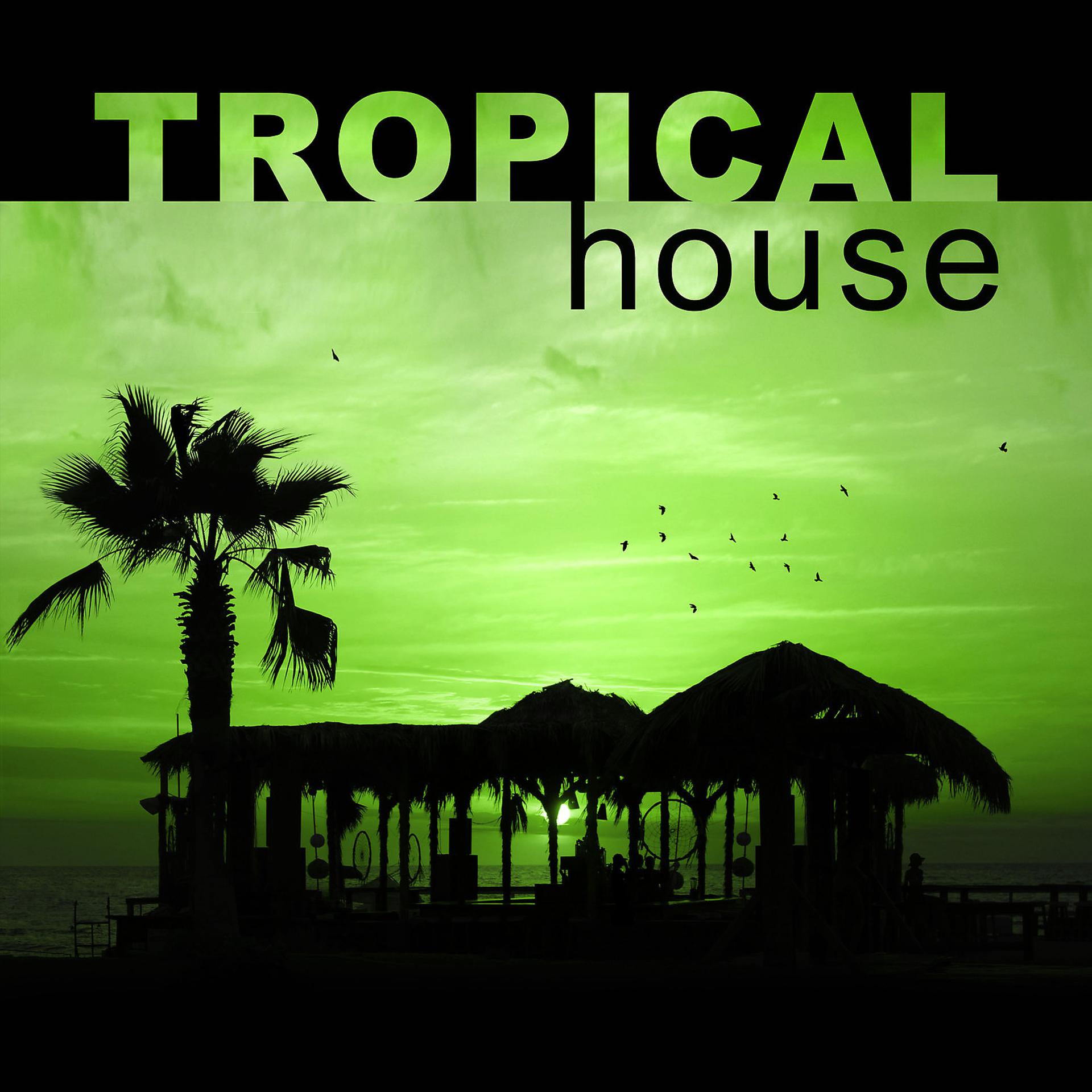 Постер альбома Tropical House – Summer Time, Island Chill, Clear Sky, Cold Drinks