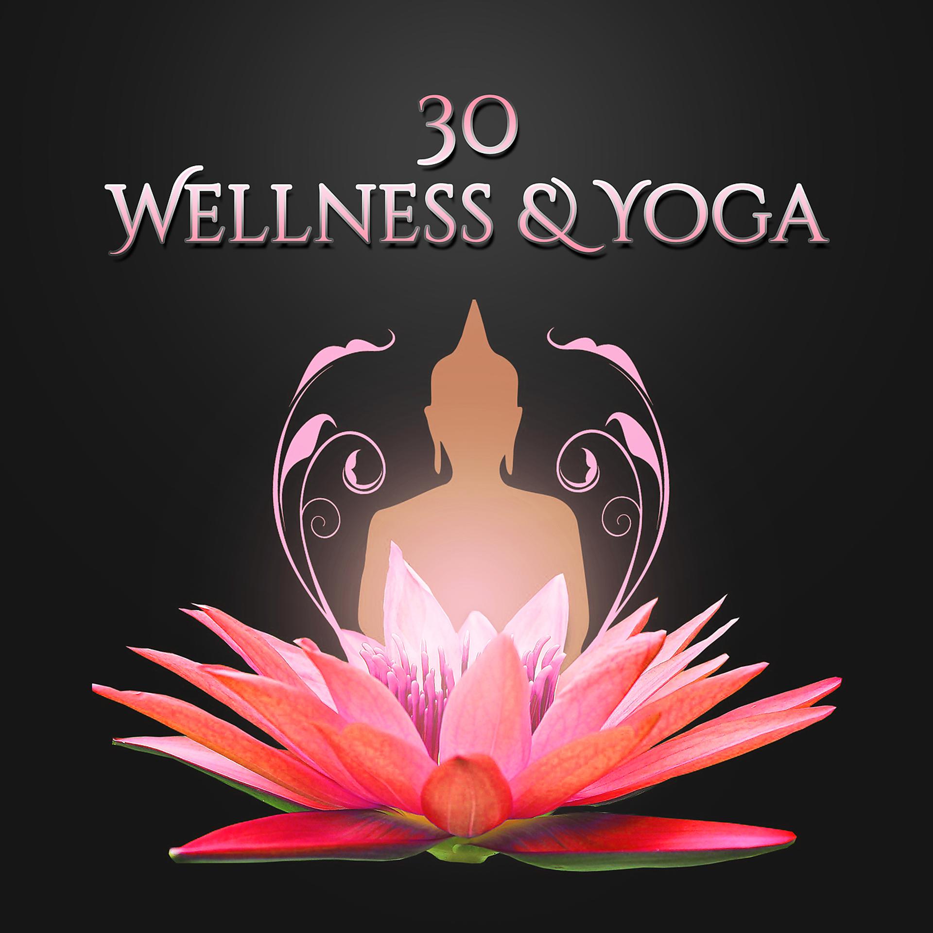 Постер альбома 30 Wellness & Yoga: Moments of Relaxation, Serenity & Balance, Regeneration During Sleep, Massage Lounge Music, Yoga for Reduce Stress