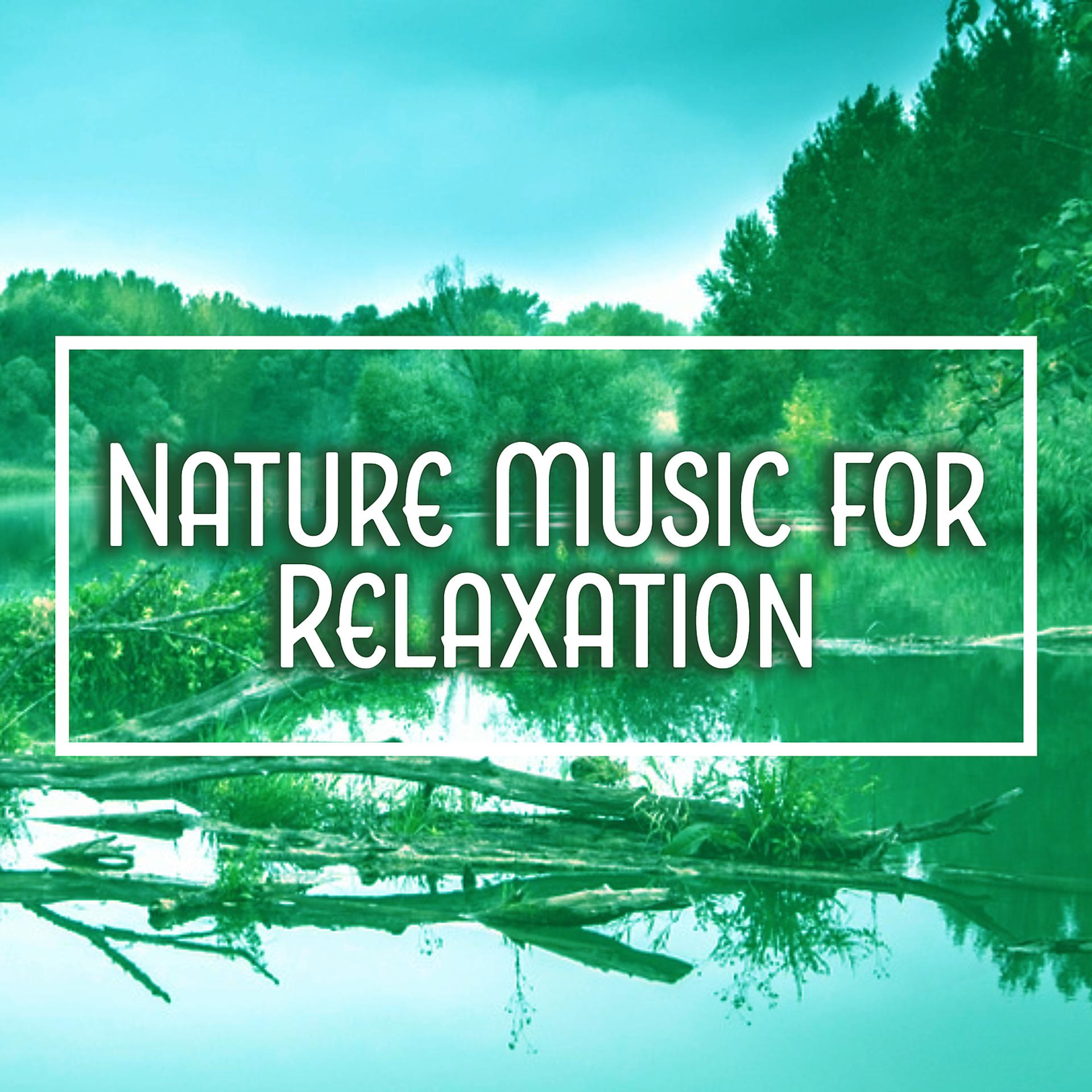 Постер альбома Nature Music for Relaxation – Nature Sounds, Birds Relaxation, Calming Music for Peaceful Day