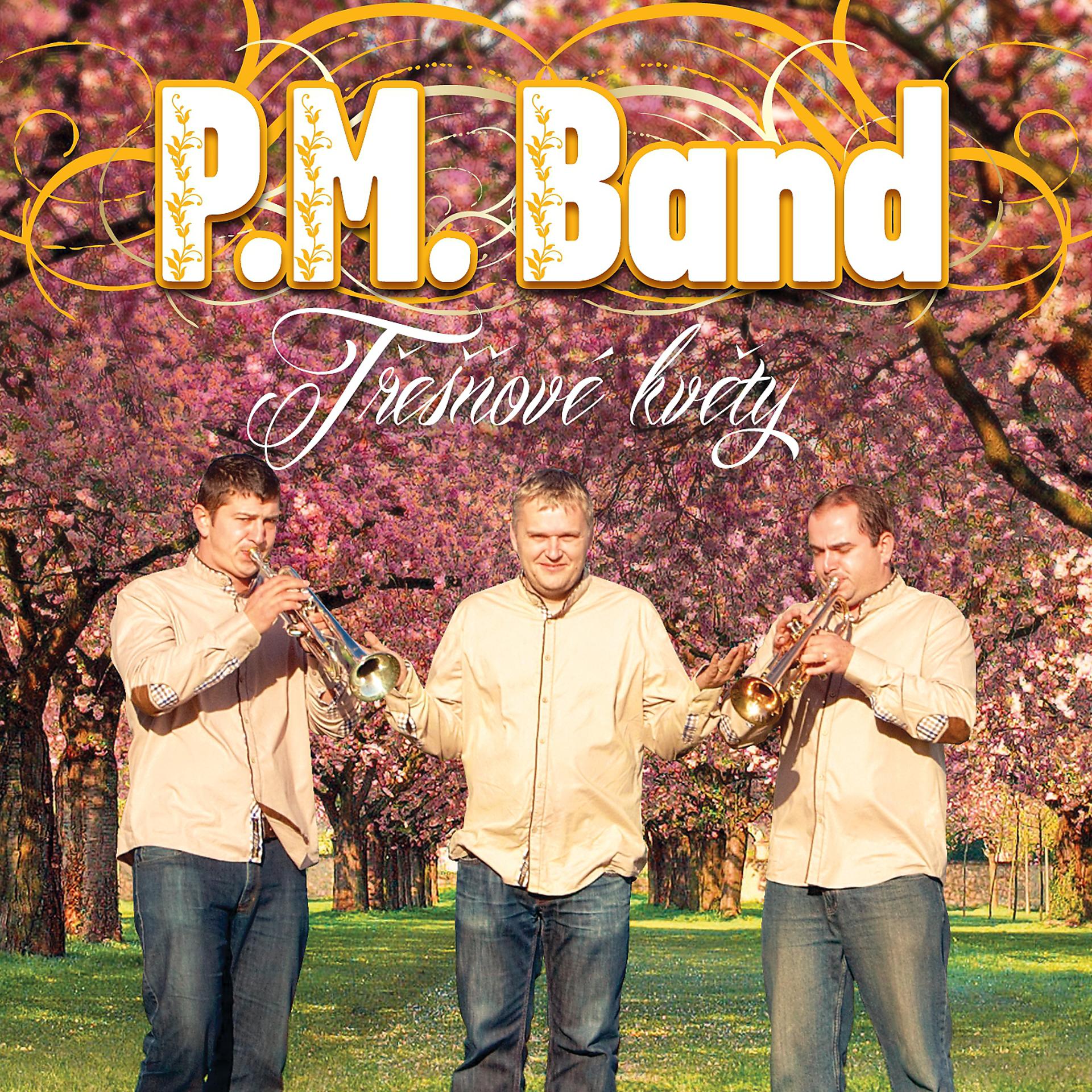 Постер альбома Best of PM BAND