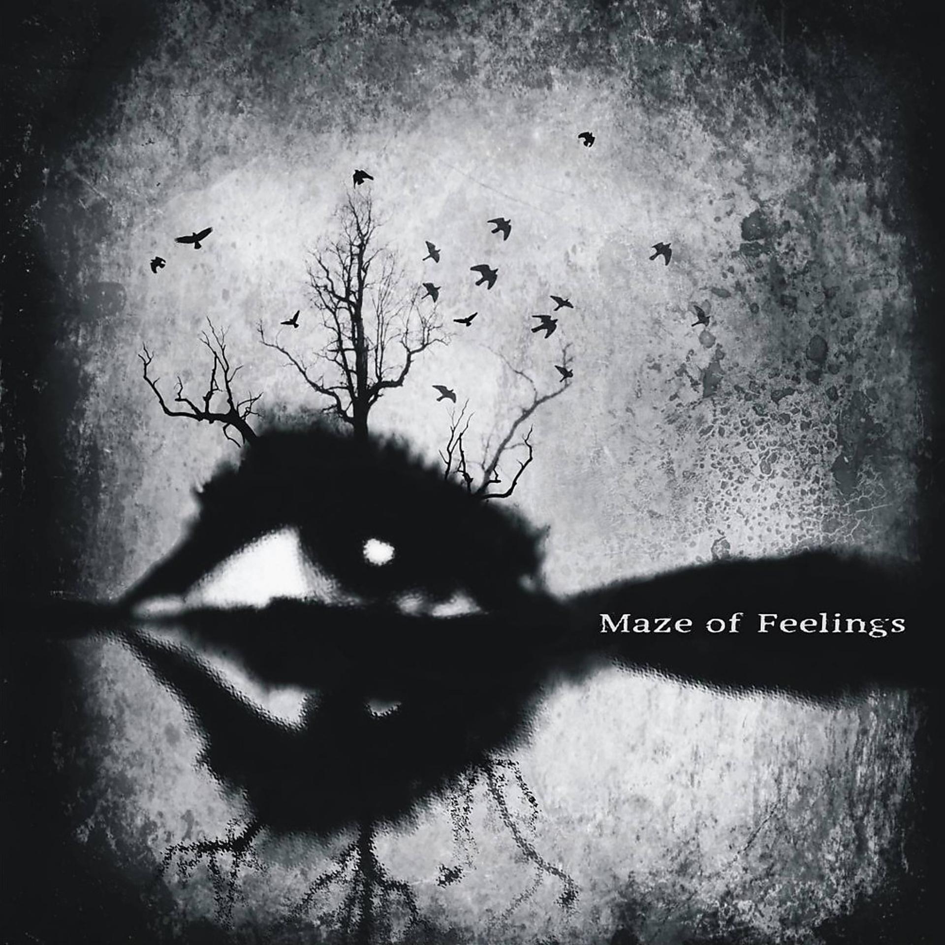 Постер альбома Maze of Feelings