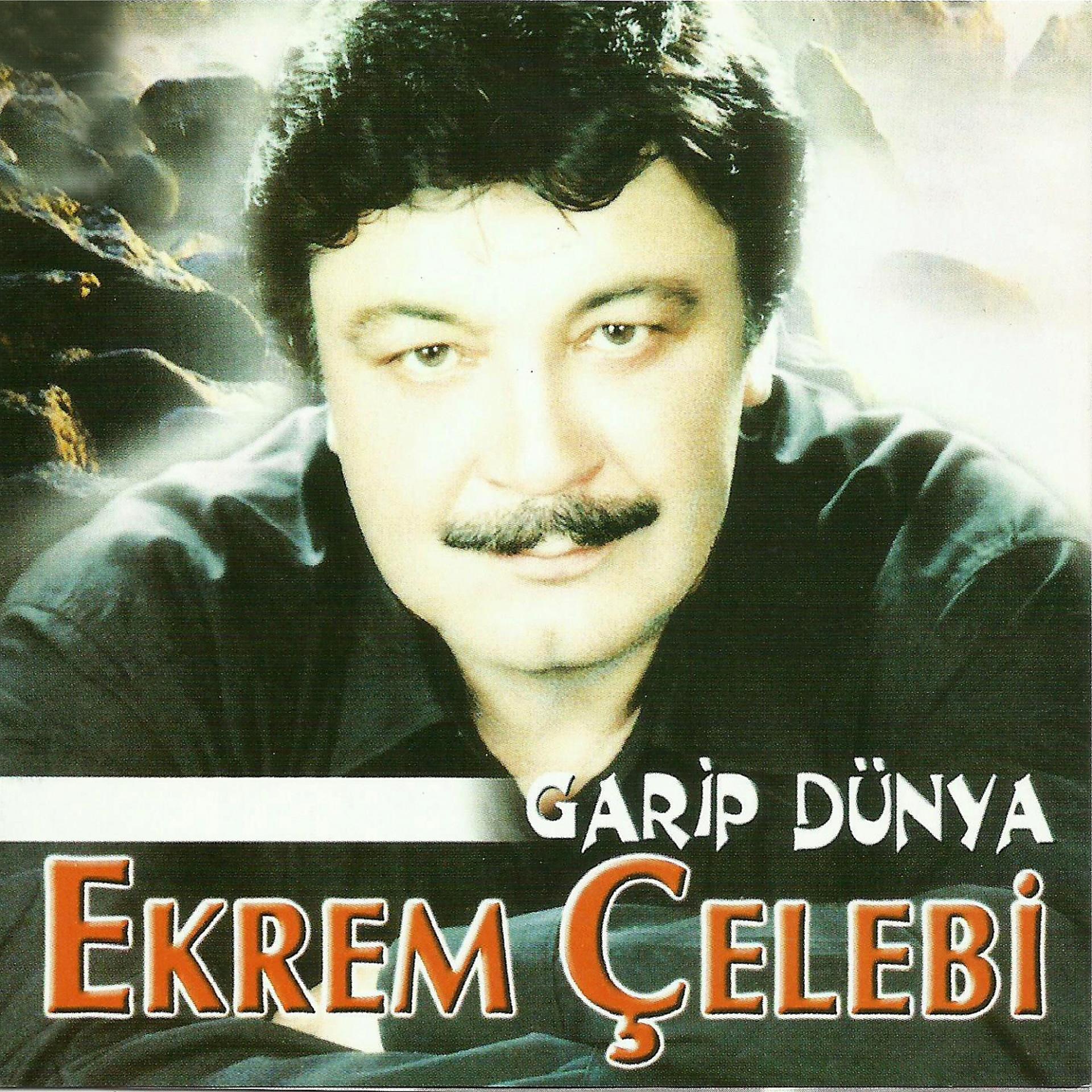 Постер альбома Garip Dünya