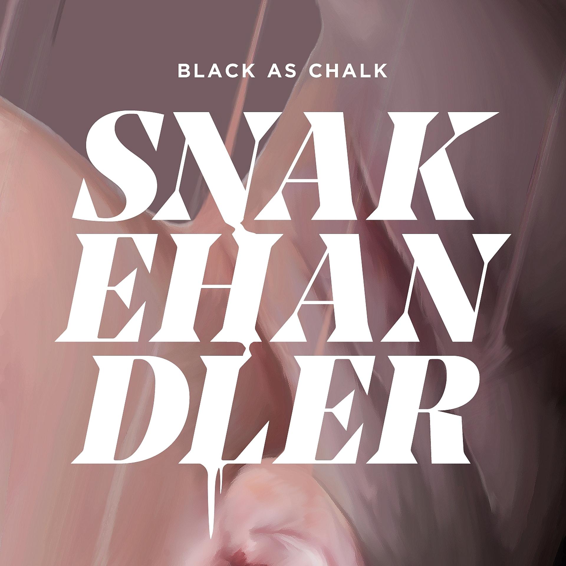 Постер альбома Snake Handler