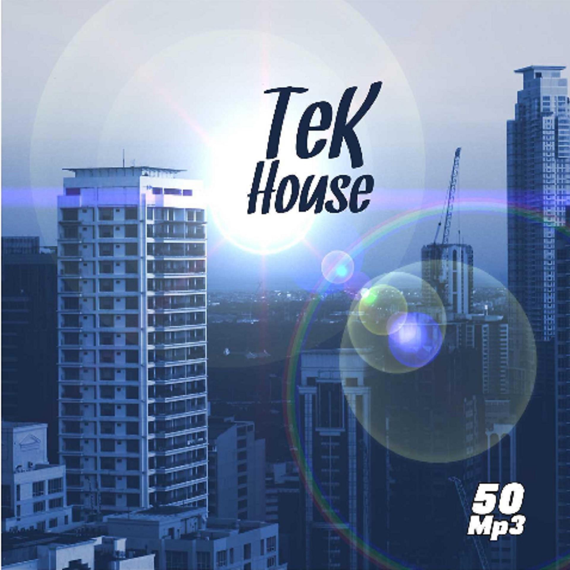 Постер альбома Tek House