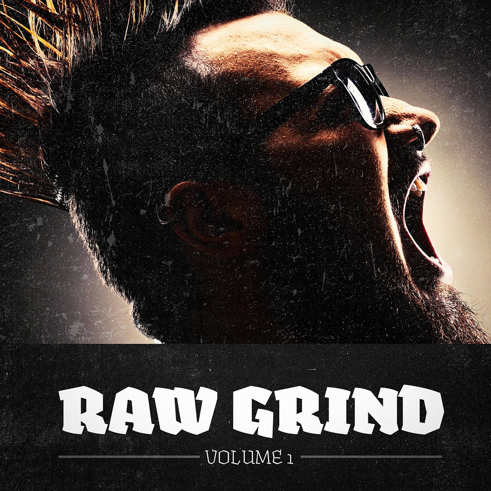 Постер альбома Raw Grind, Vol. 1 (A Selection of Punk, Hardcore & Metal Music)