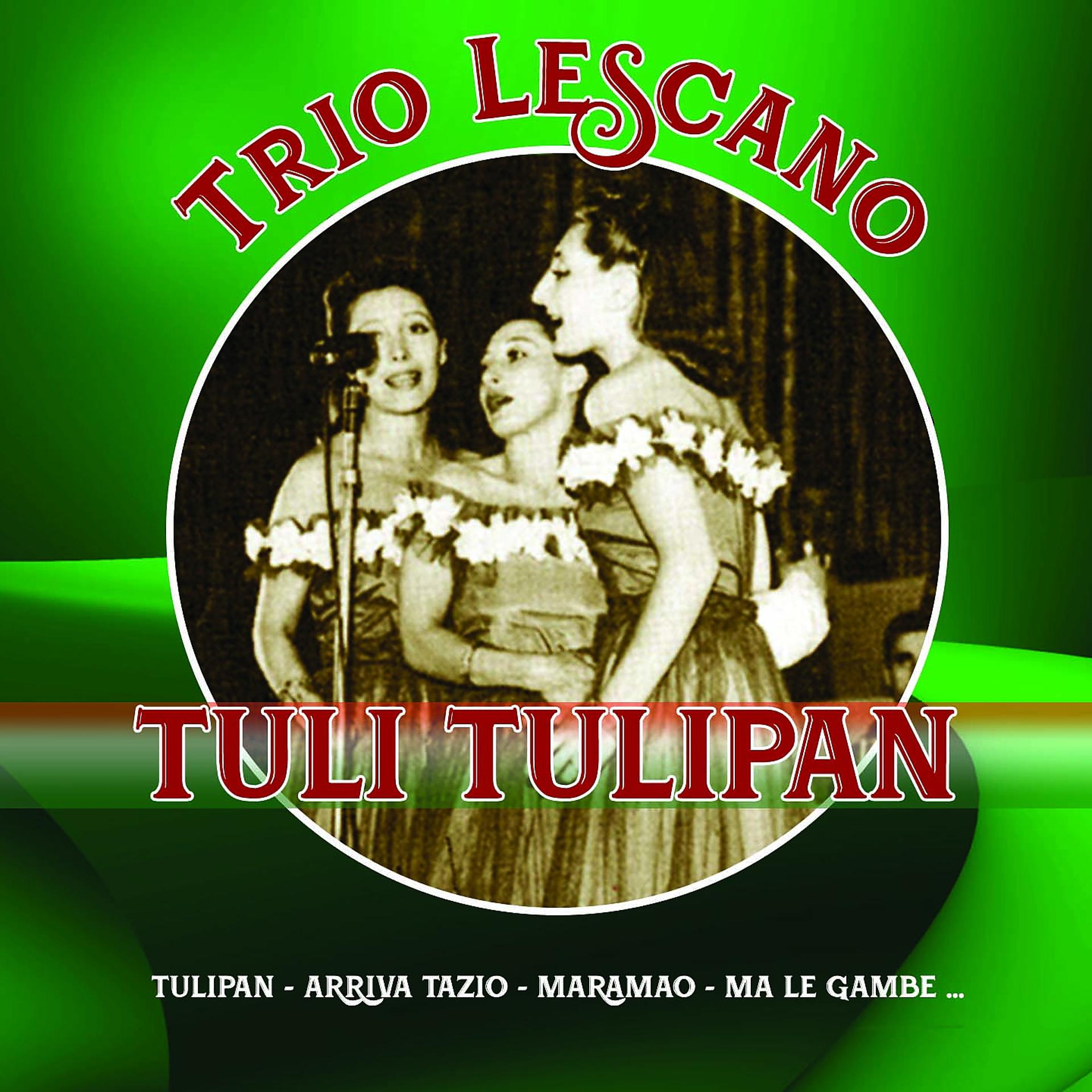 Постер альбома Tuli tulipan