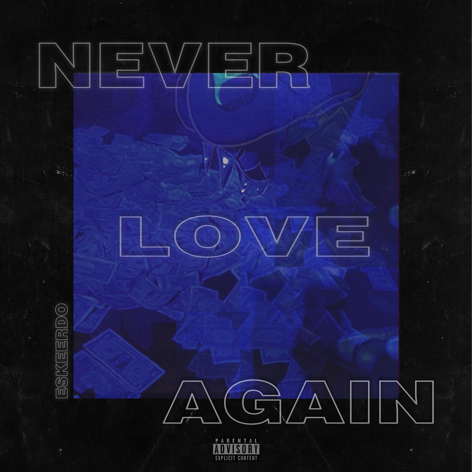 Постер альбома Never Love Again