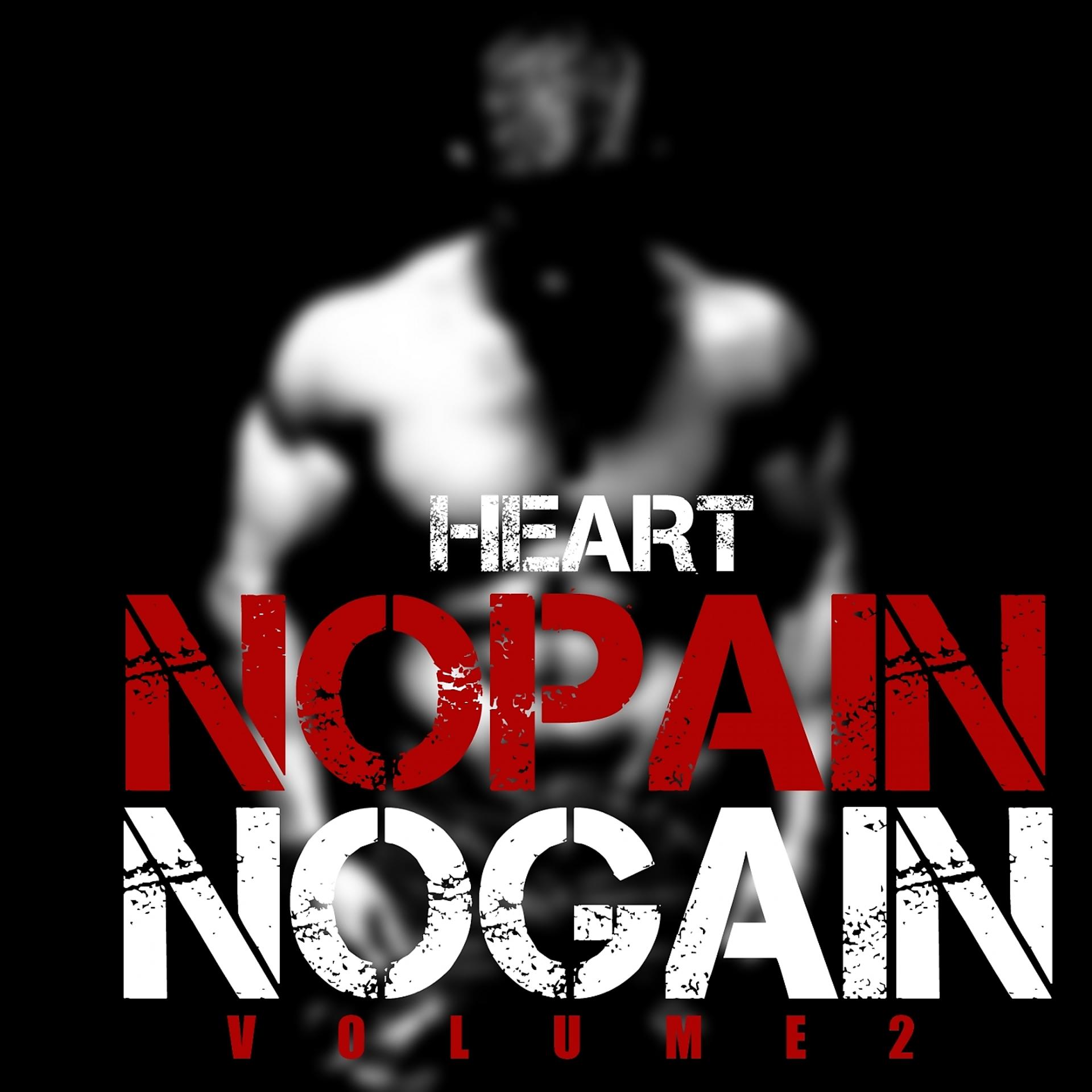 Постер альбома No Pain No Gain, Vol. 2