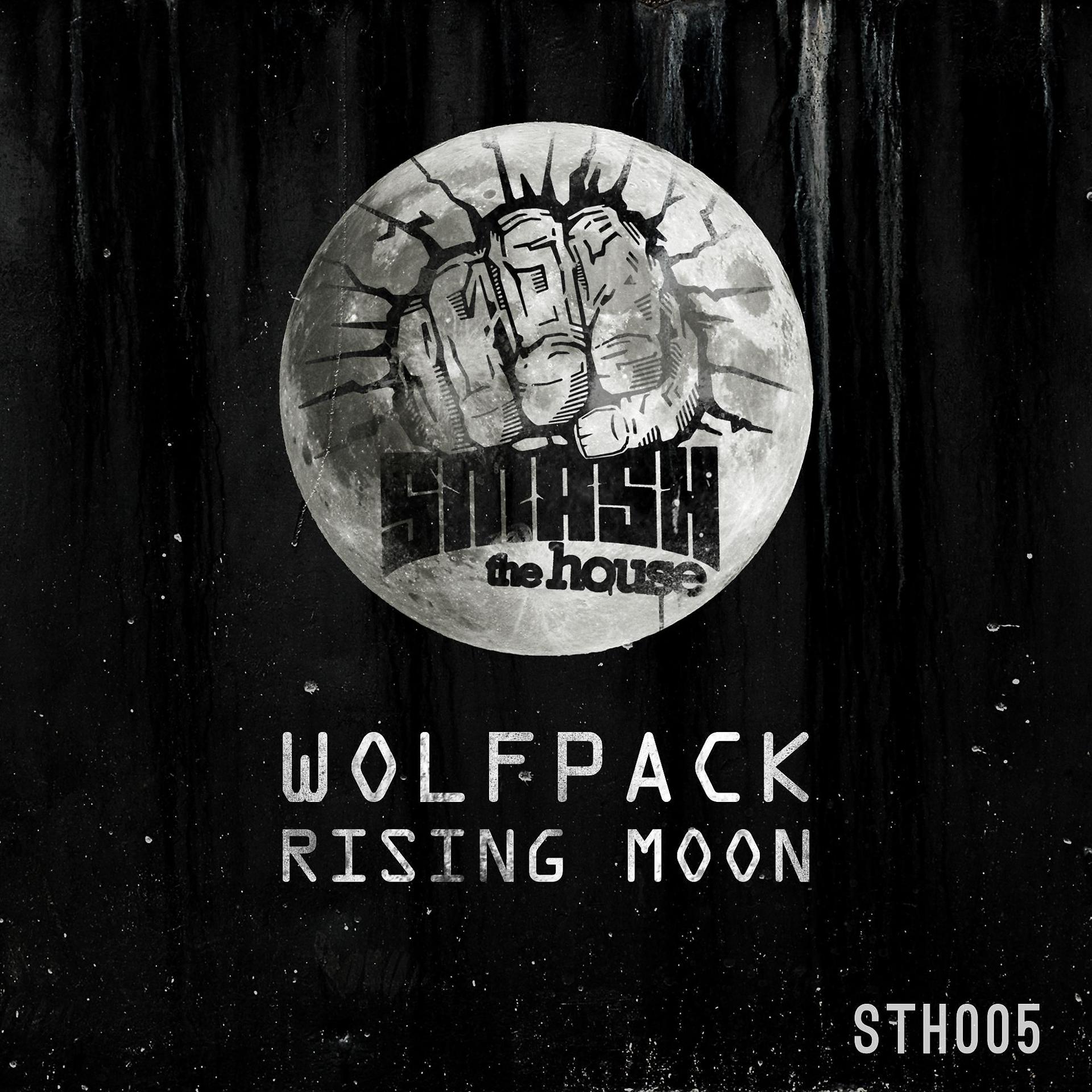 Постер альбома Rising Moon