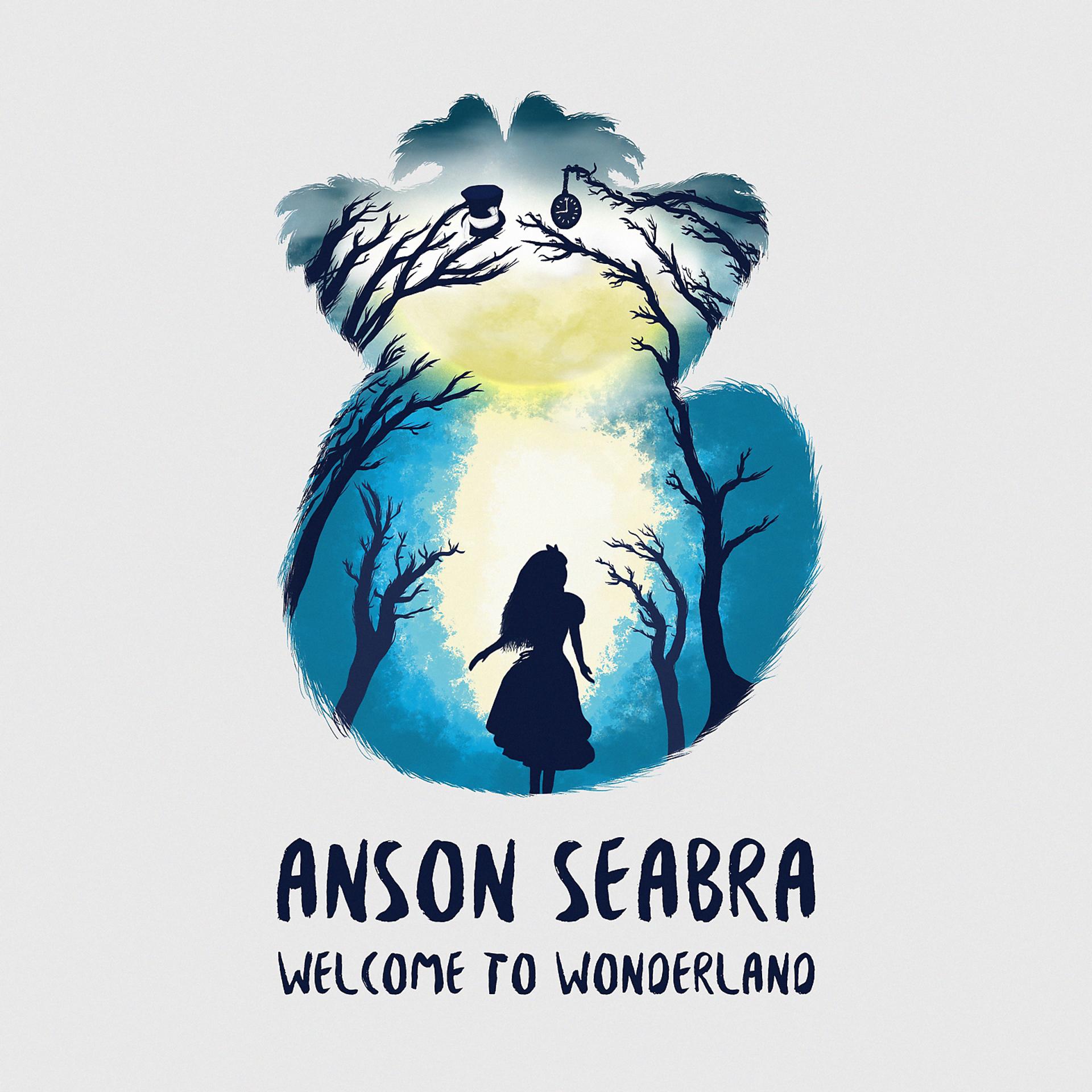 Постер альбома Welcome to Wonderland