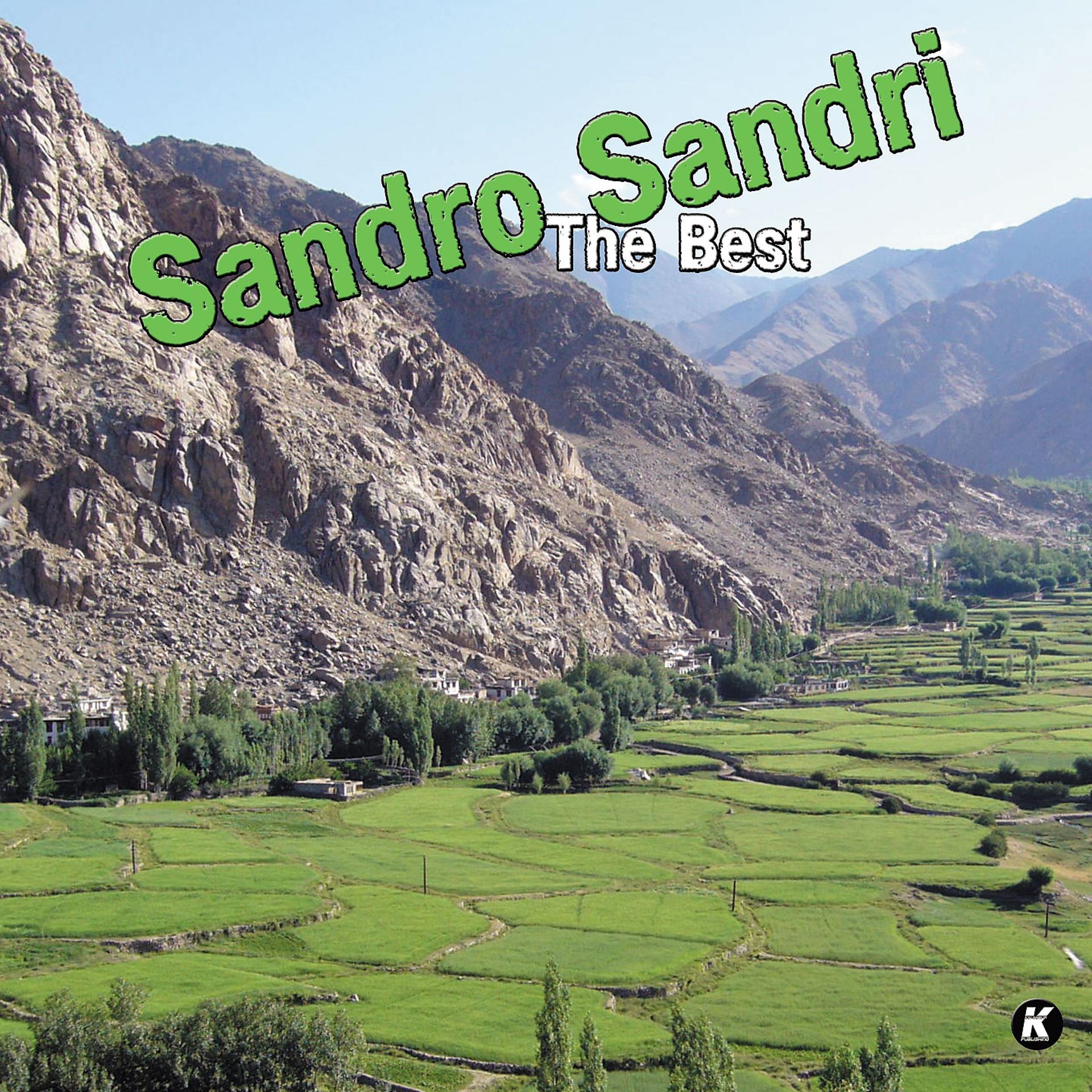 Постер альбома SANDRO SANDRI THE BEST