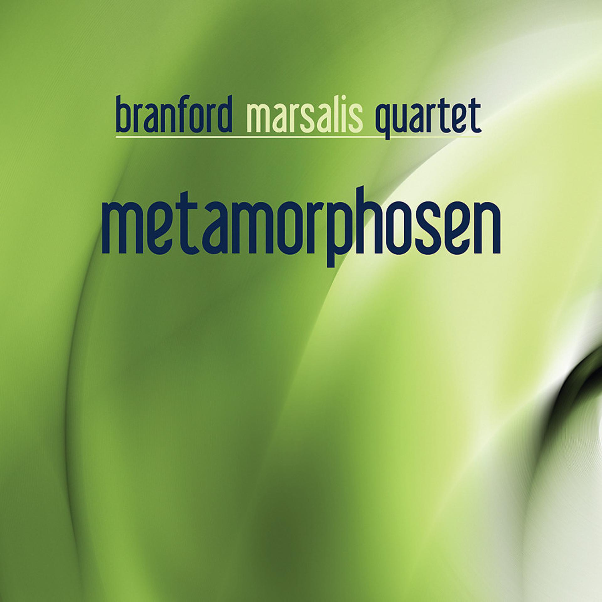 Постер альбома Metamorphosen (Bonus Track Version)