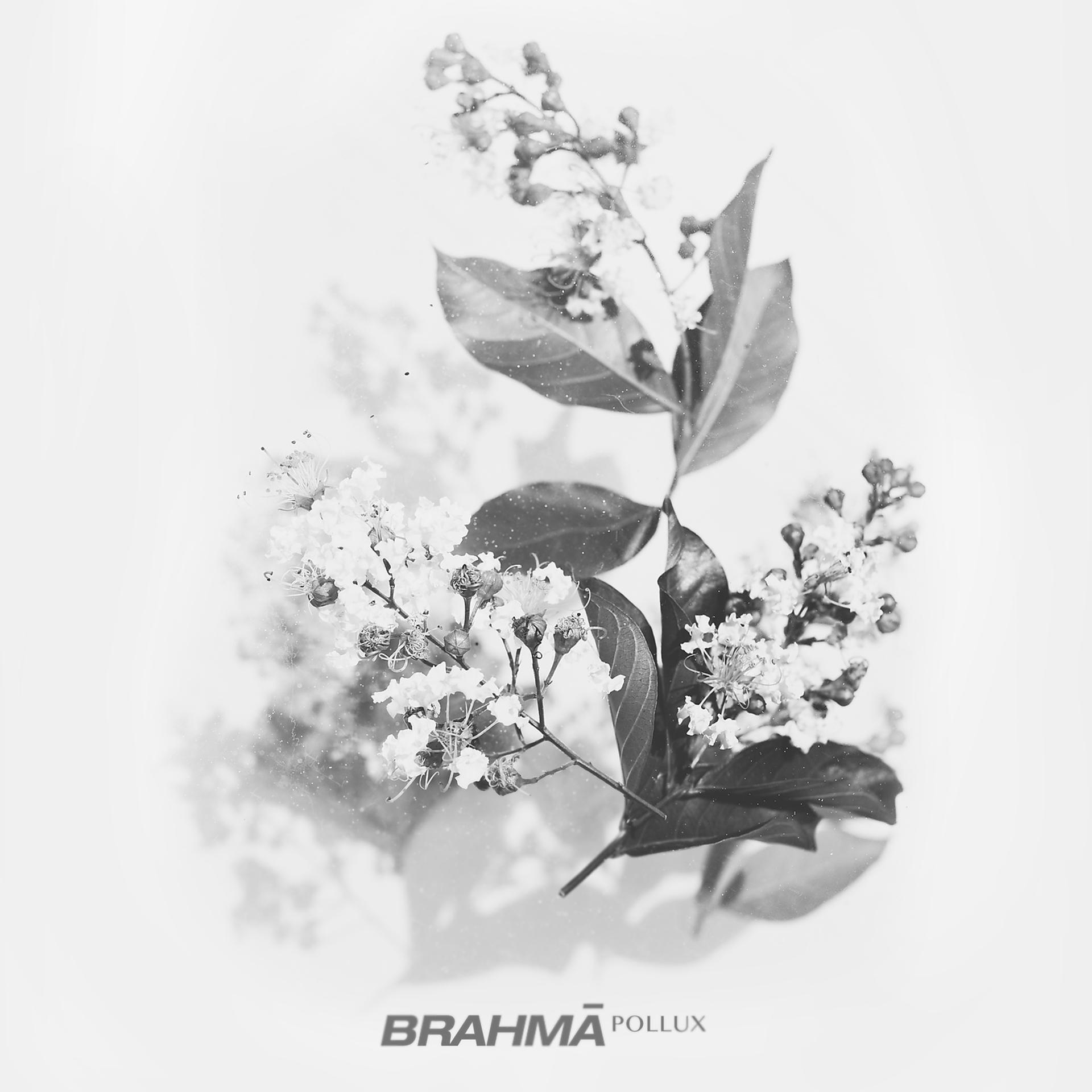 Постер альбома Brahmā