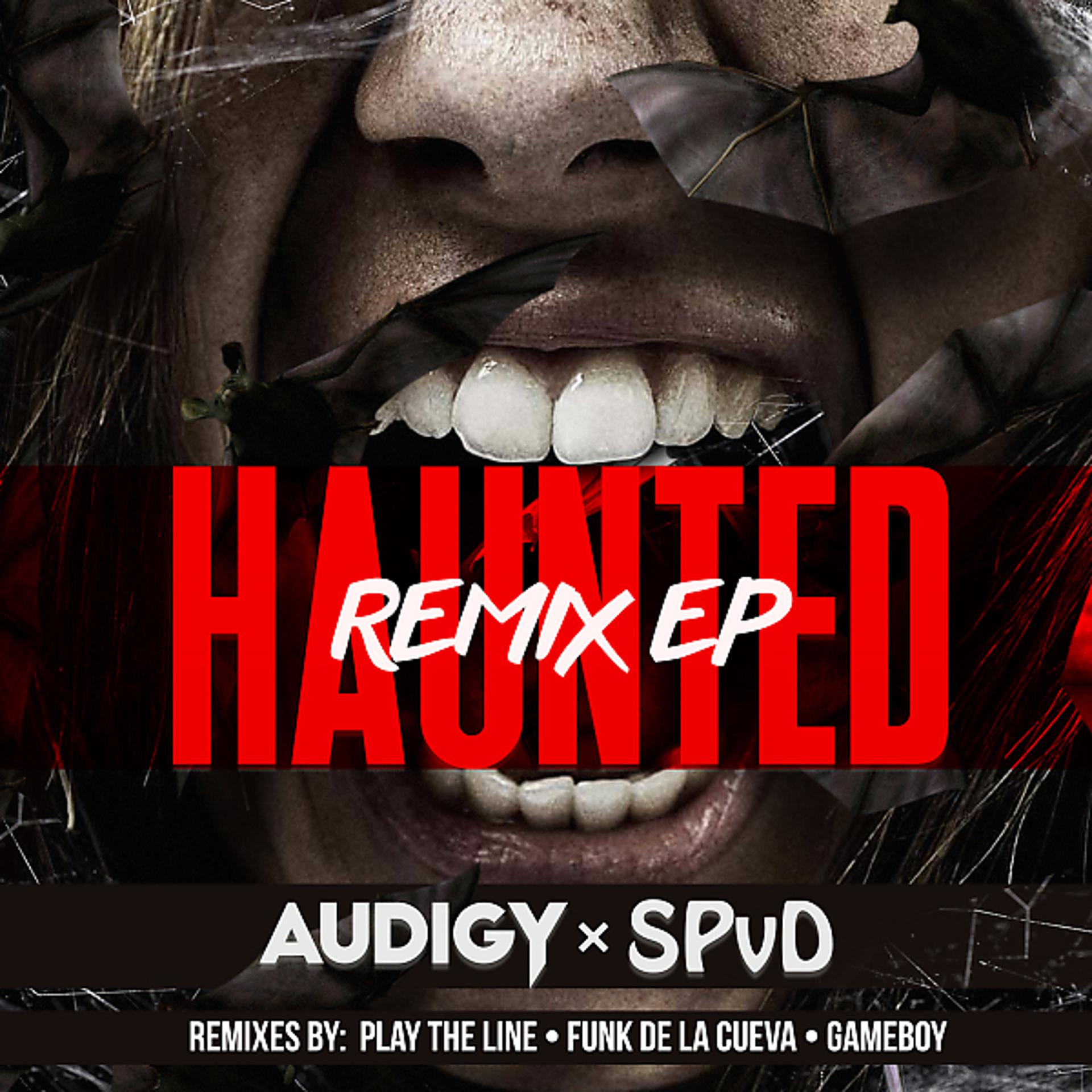 Постер альбома Haunted Remix EP