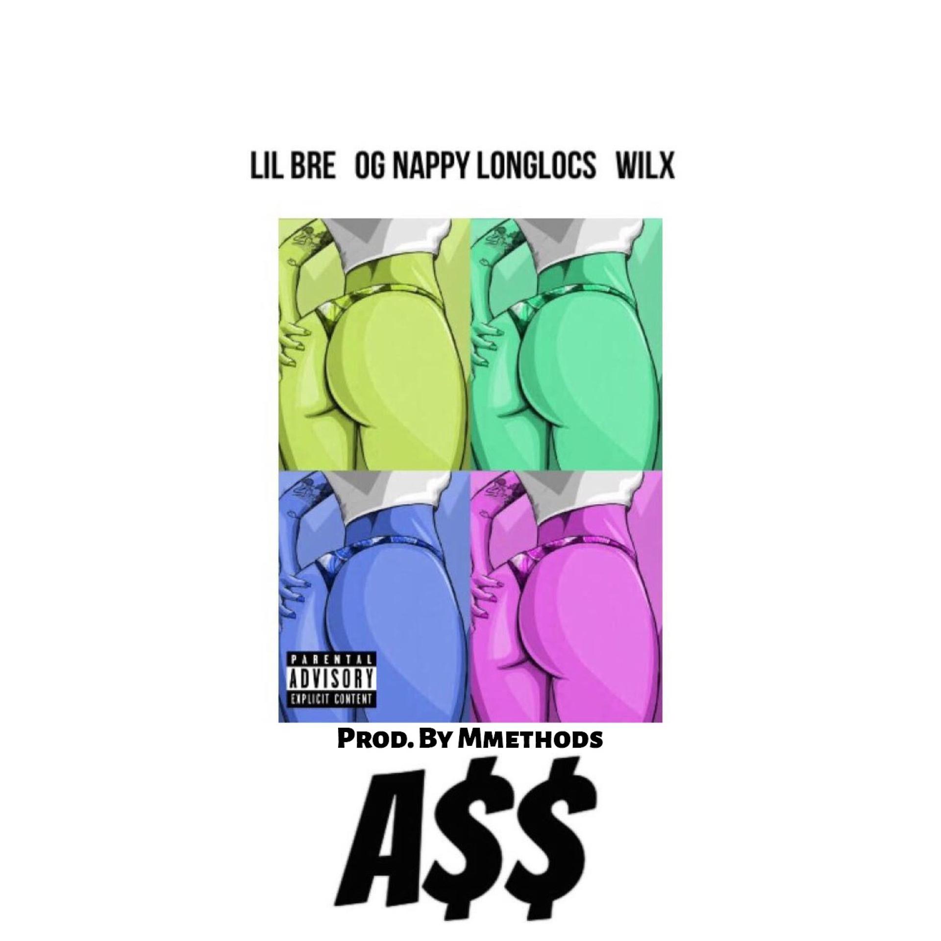 Постер альбома Ass (feat. OG Nappy Long Locs & Wilx)