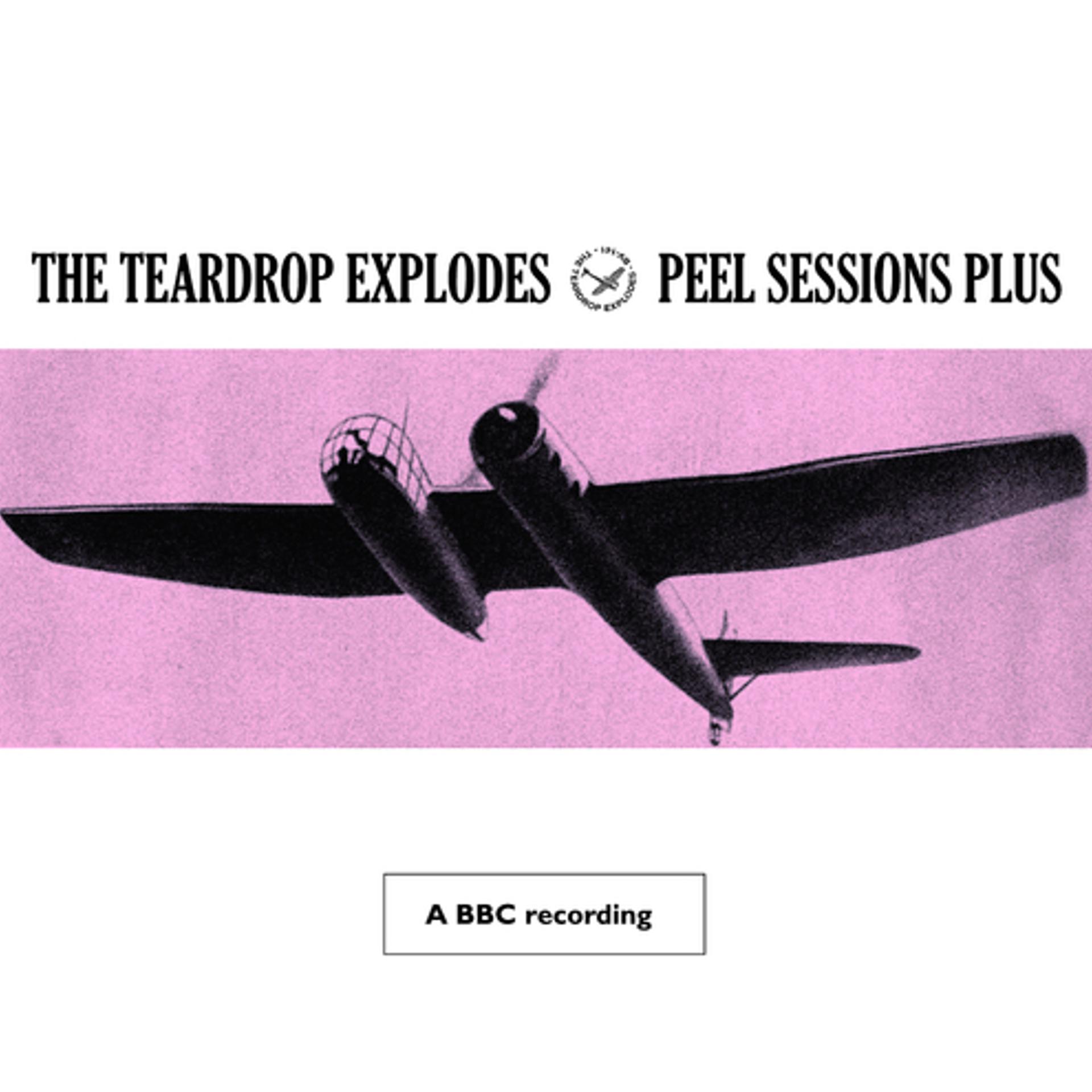 Постер альбома Peel Sessions Plus