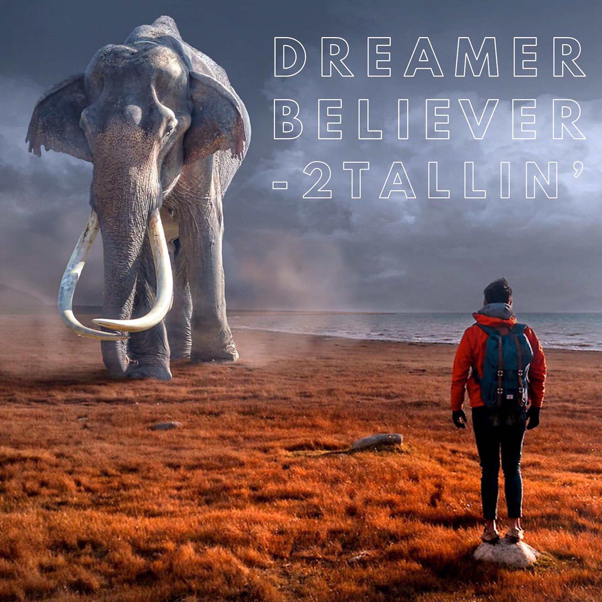 Постер альбома Dreamer Believer