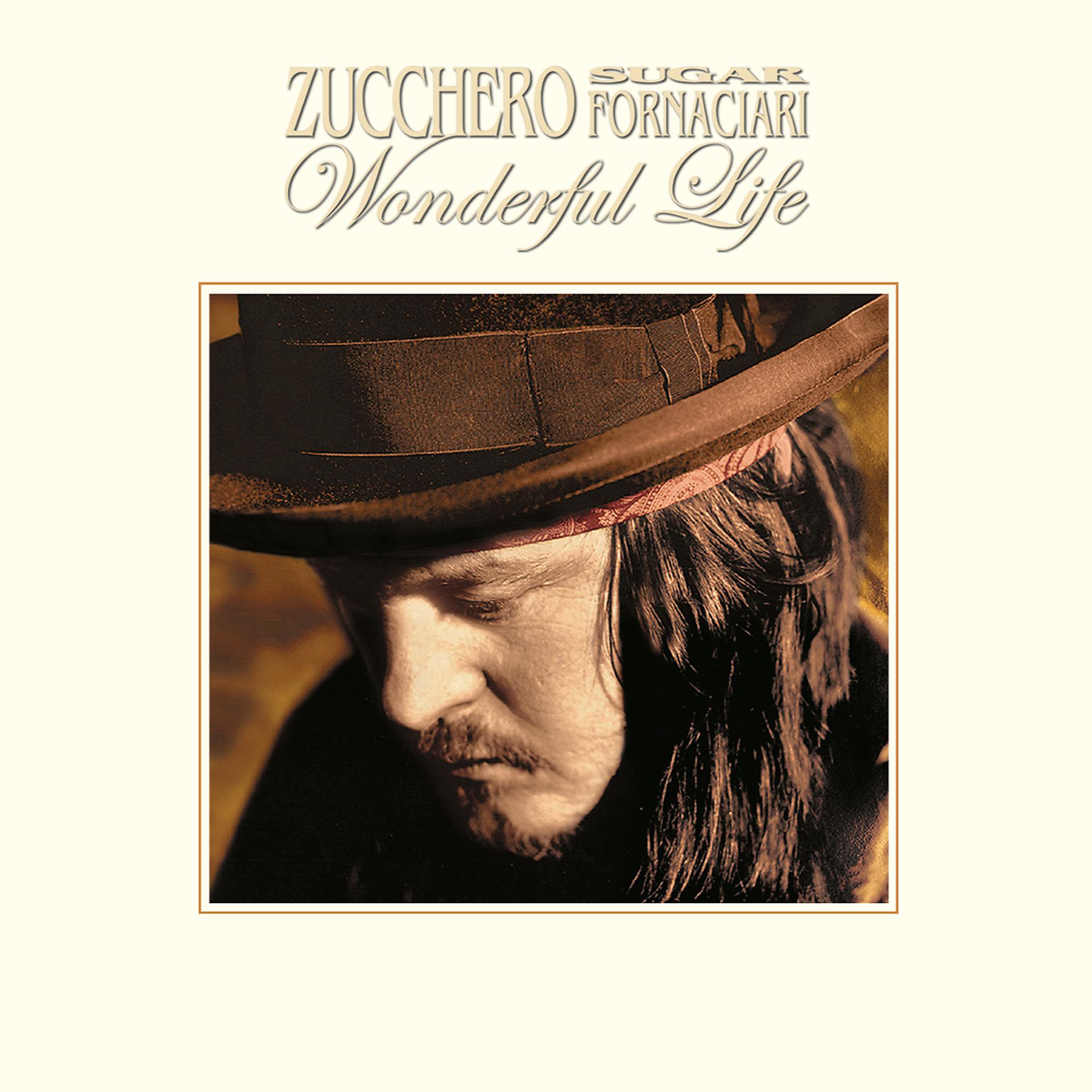 Постер альбома Wonderful Life