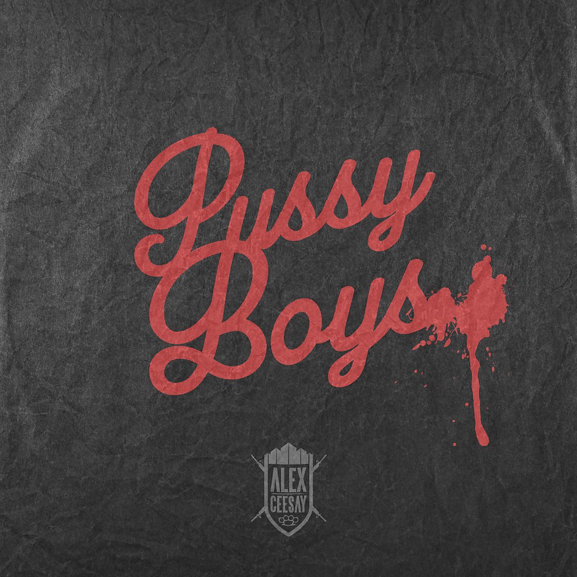 Постер альбома Pussyboys