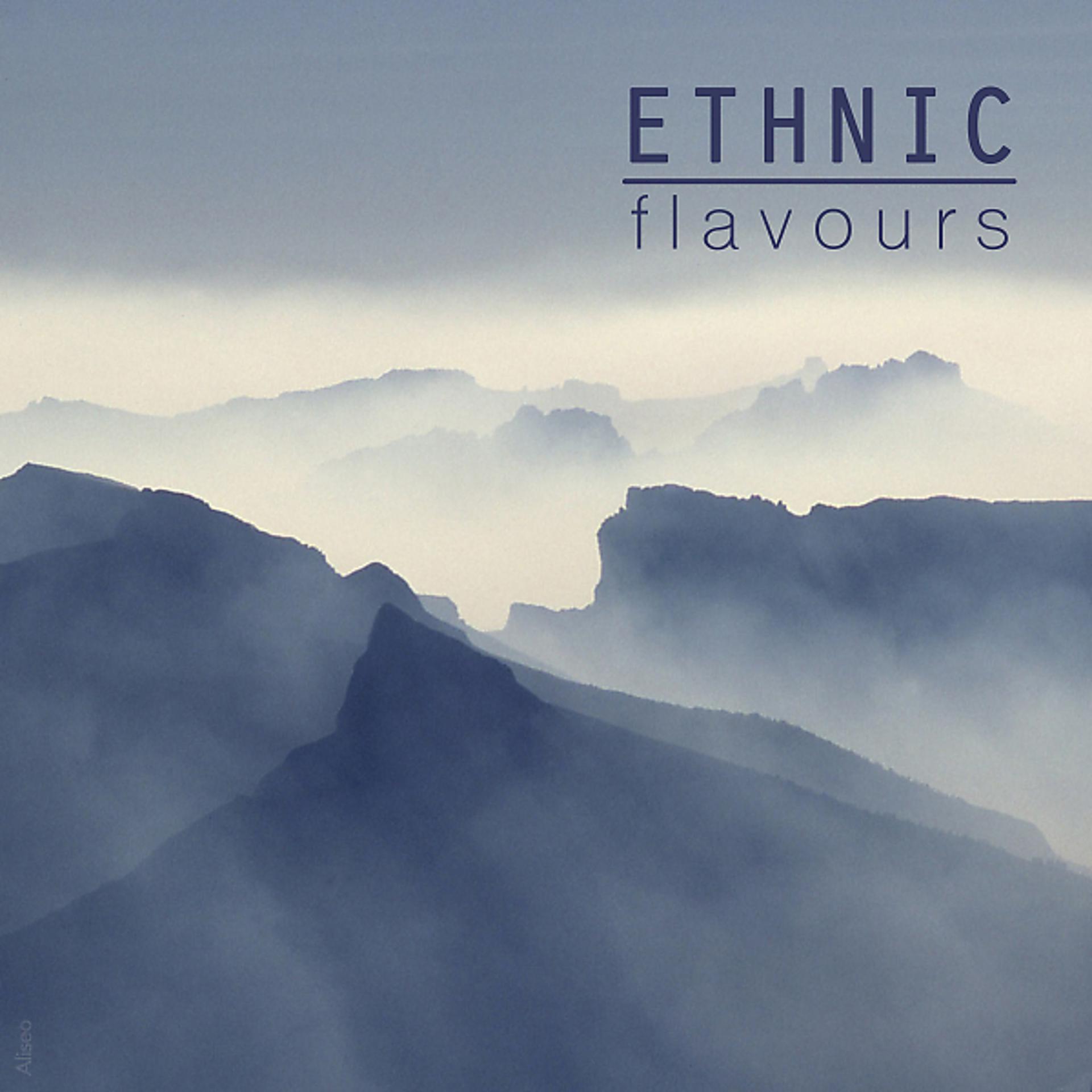 Постер альбома Ethnic Flavours