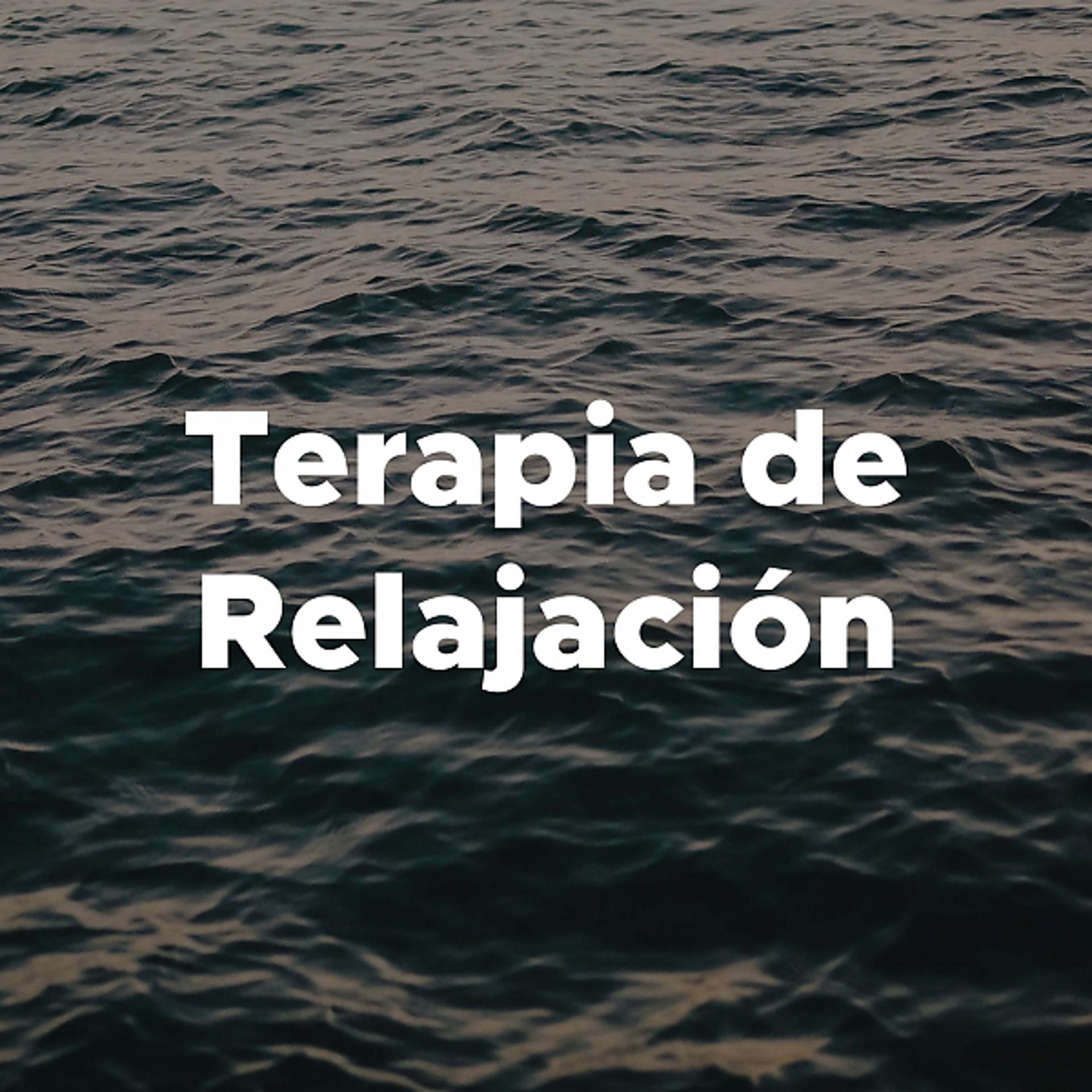 Постер альбома Terapia De Relajacion - Relajacion Mental Emocional, Musica Suave