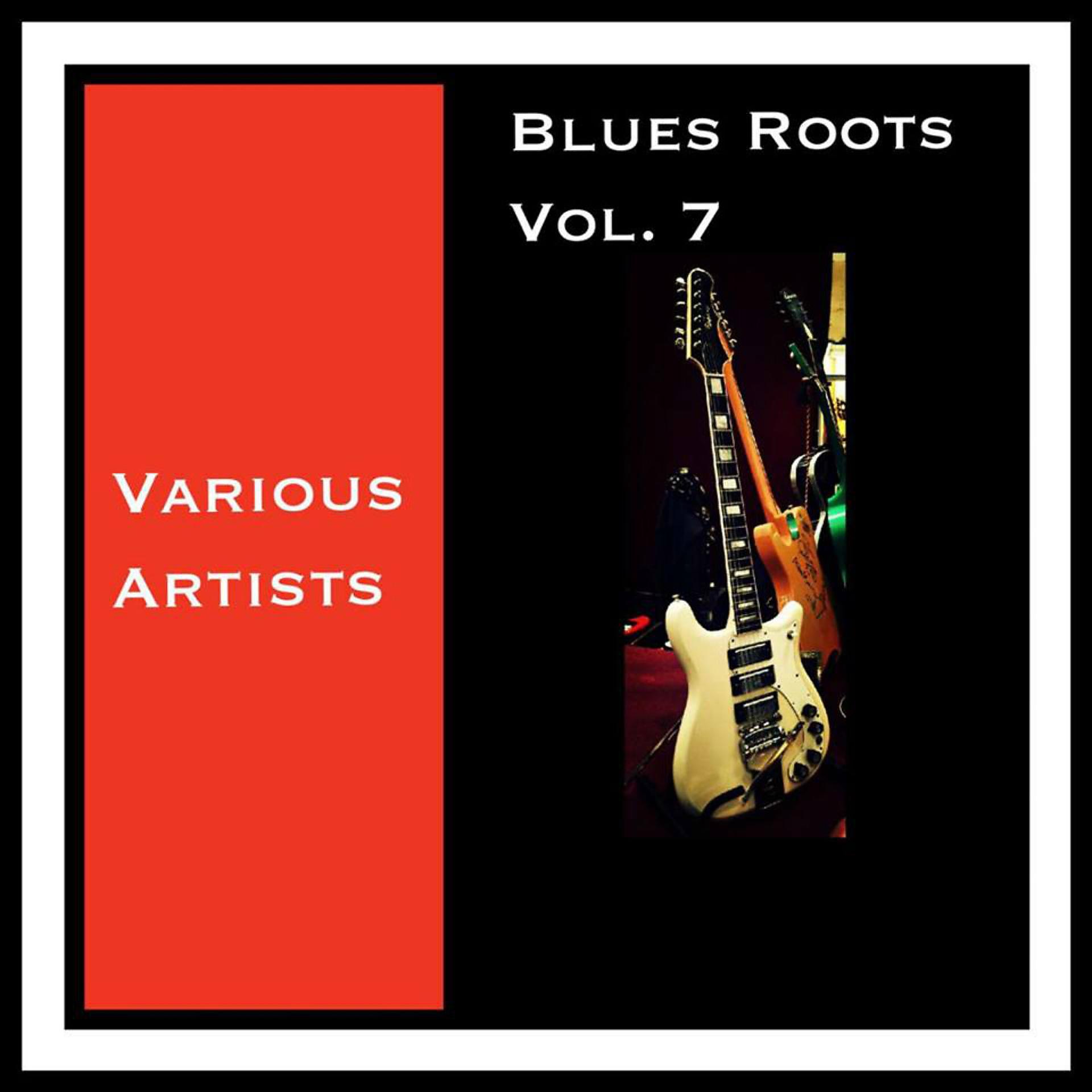 Постер альбома Blues Roots, Vol. 7