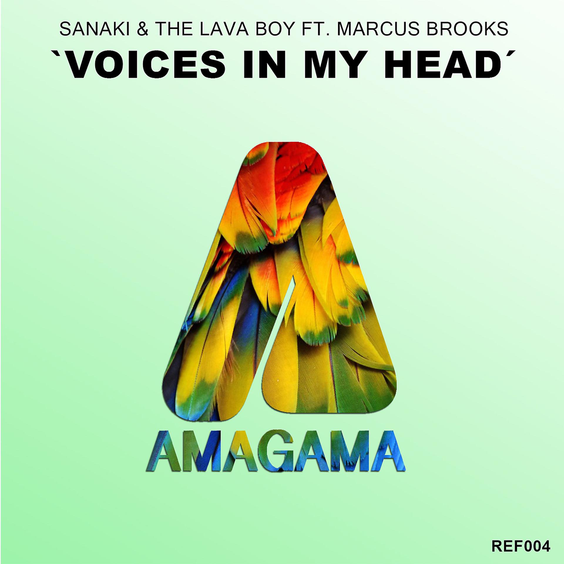 Постер альбома Voices in My Head