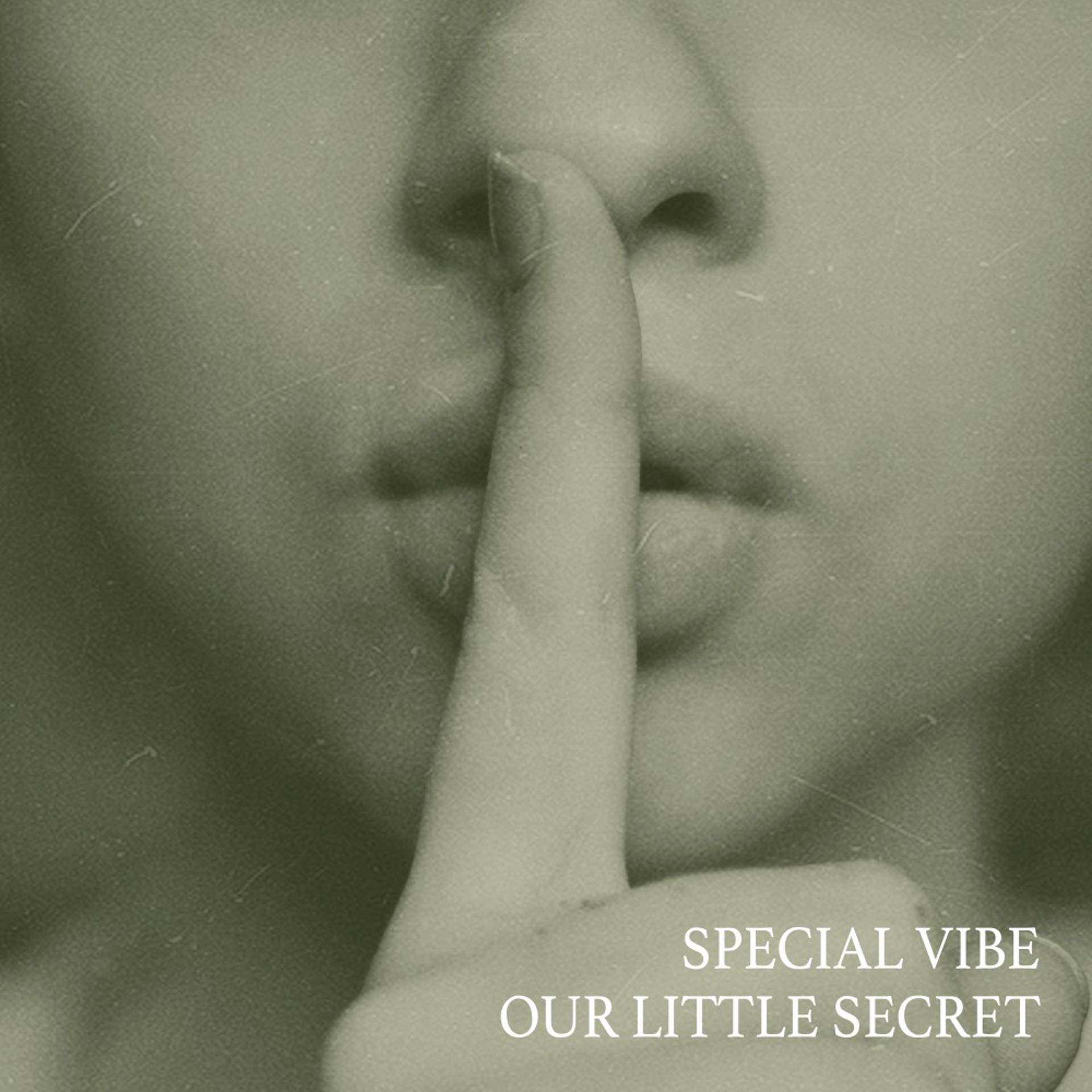 Постер альбома Our Little Secret