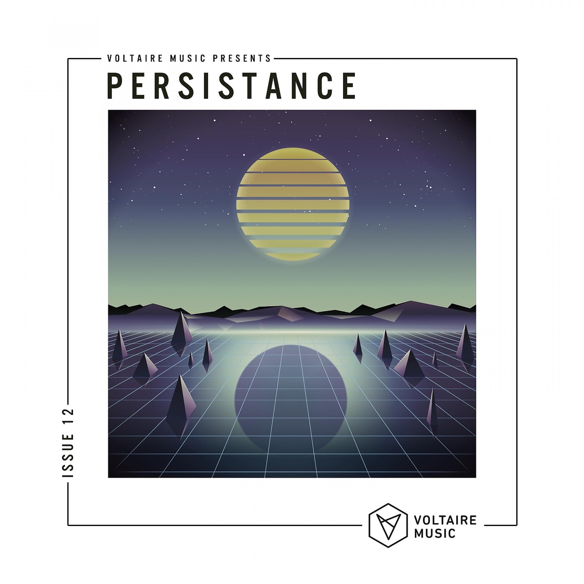 Постер альбома Voltaire Music pres. Persistence #12