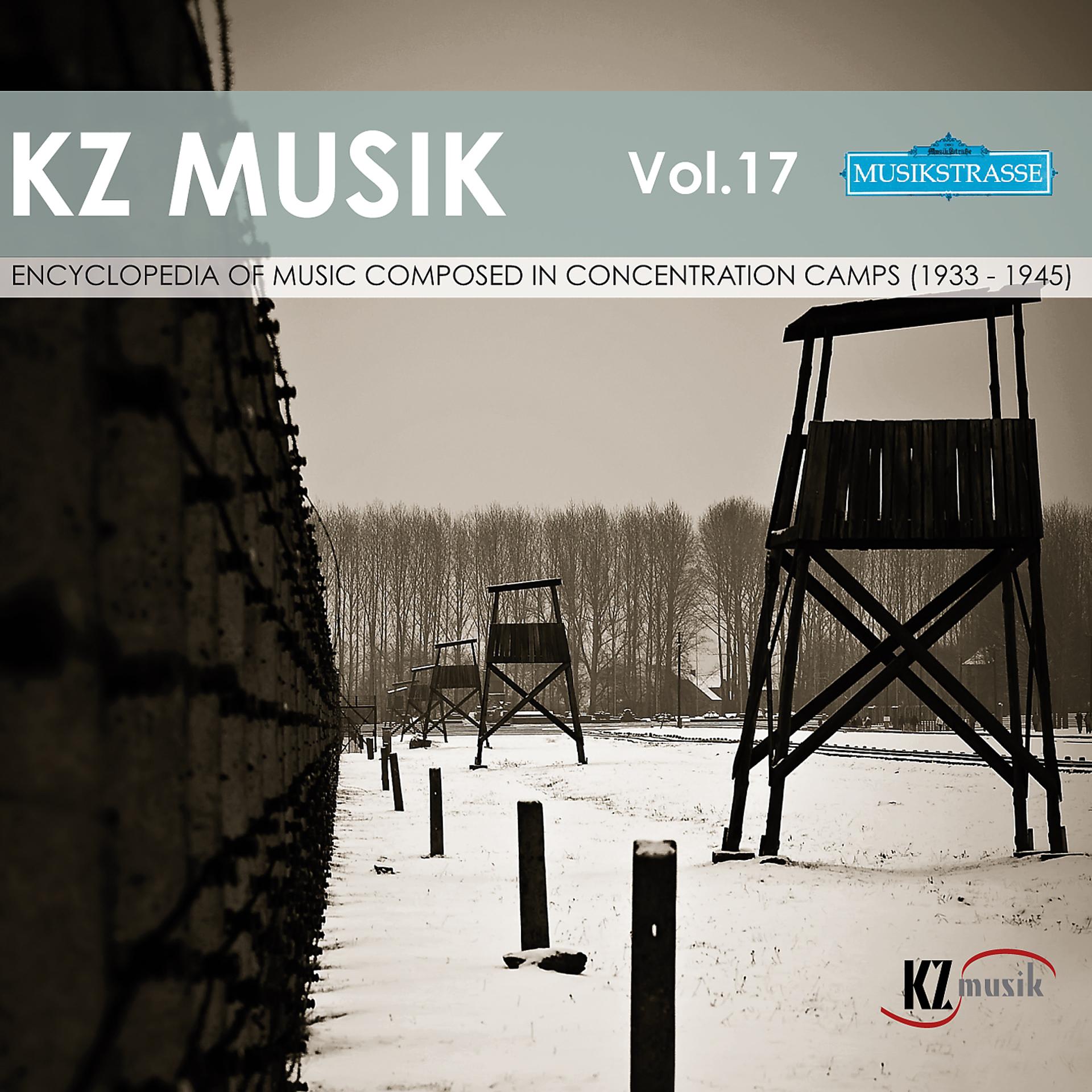 Постер альбома Kz Musik, Vol. 17