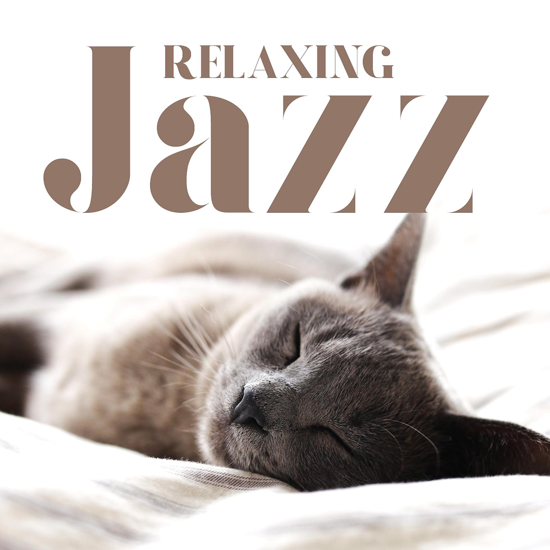 Постер альбома Relaxing Jazz - The best of cocooning Jazz to chill and sleep