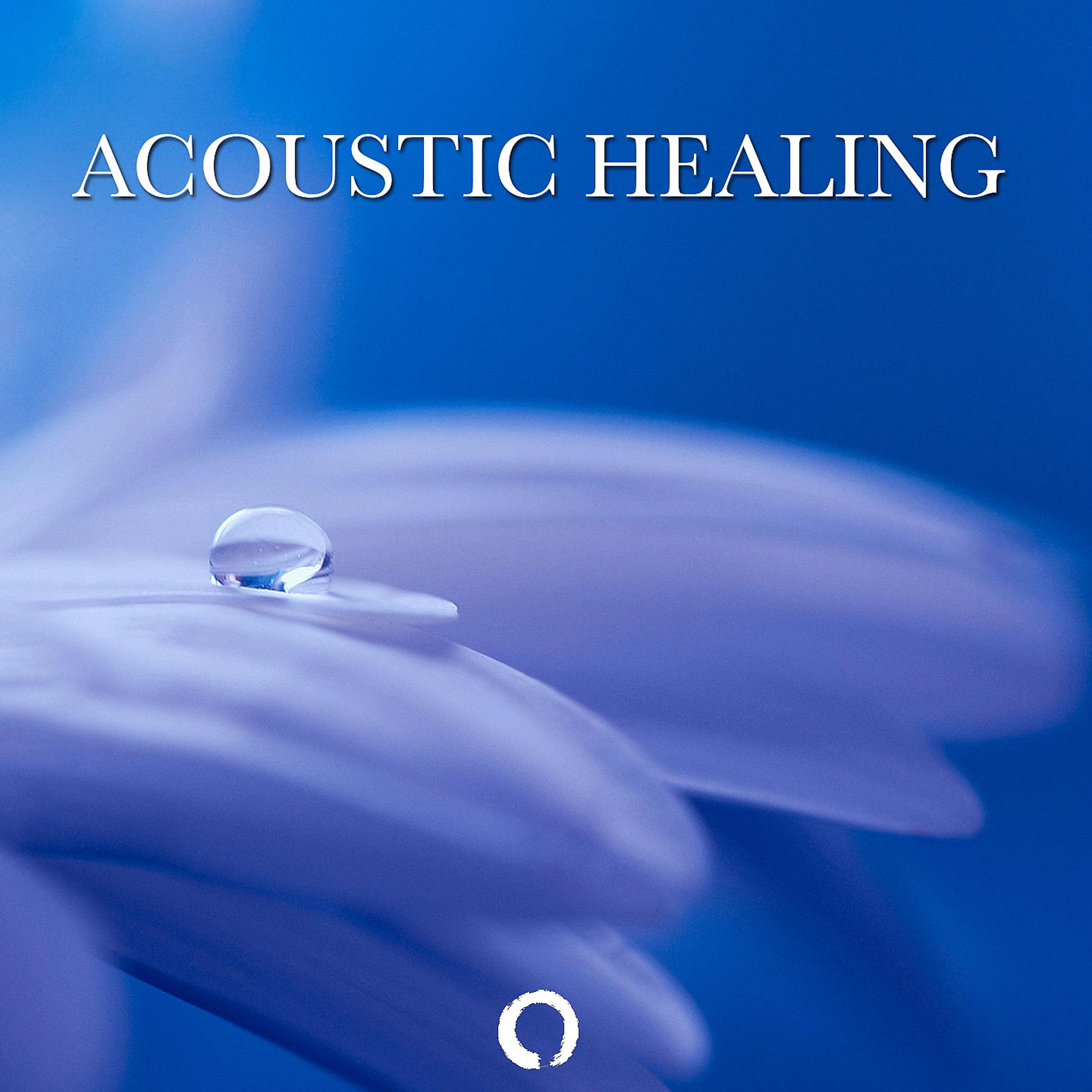 Постер альбома Acoustic Healing